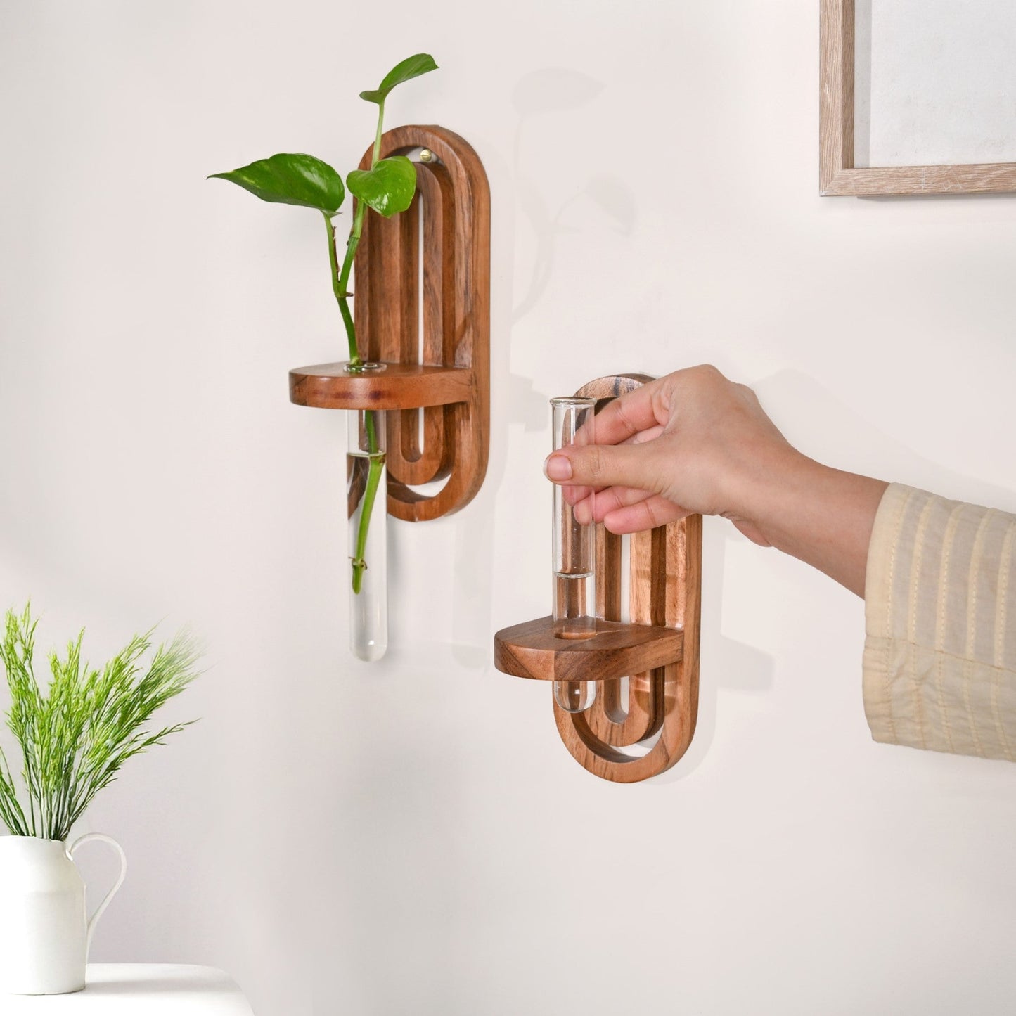 Acacia Wall Hanging Test Tube Planter Duo
