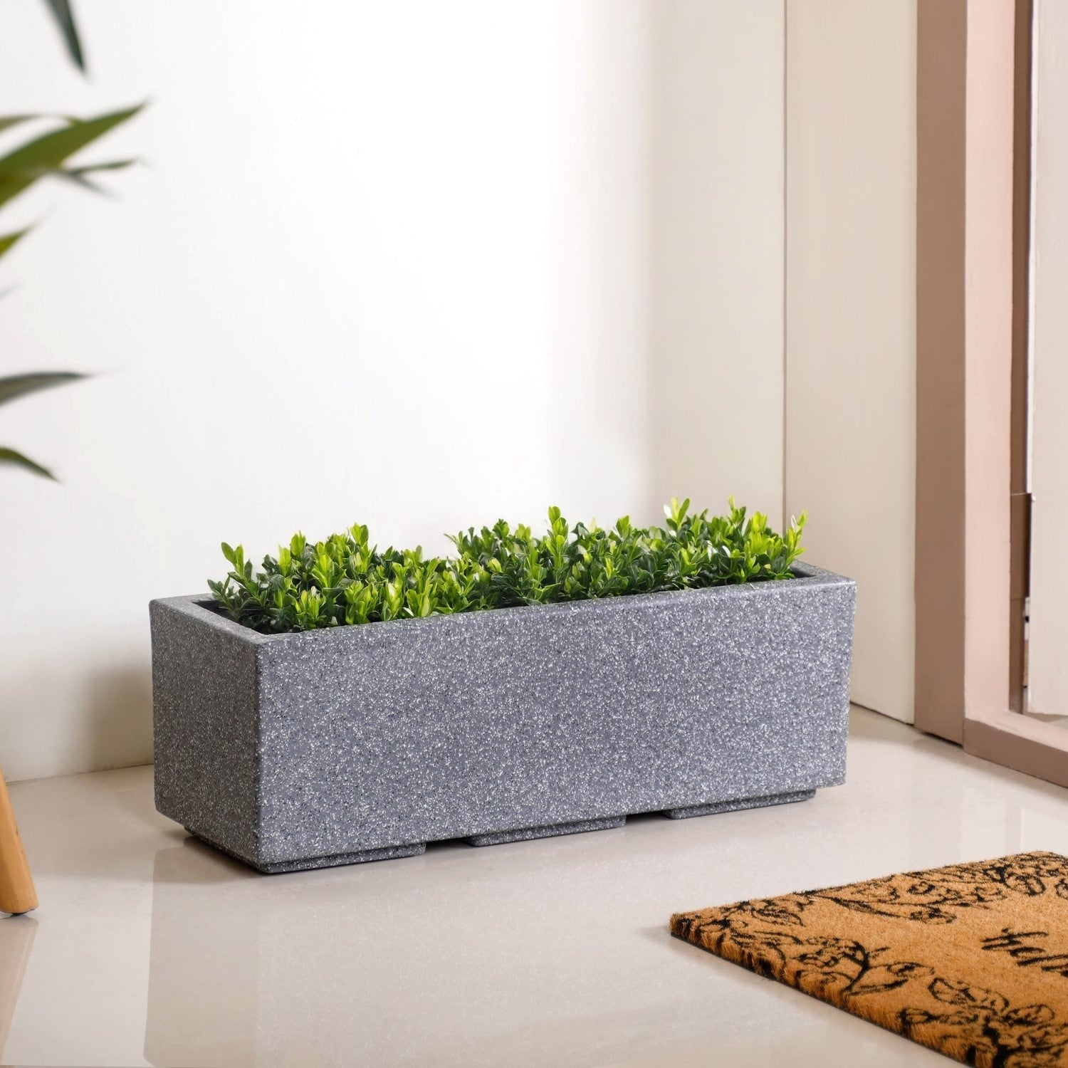 Planterra Modern Grey Trough Planter 24x8 Inch