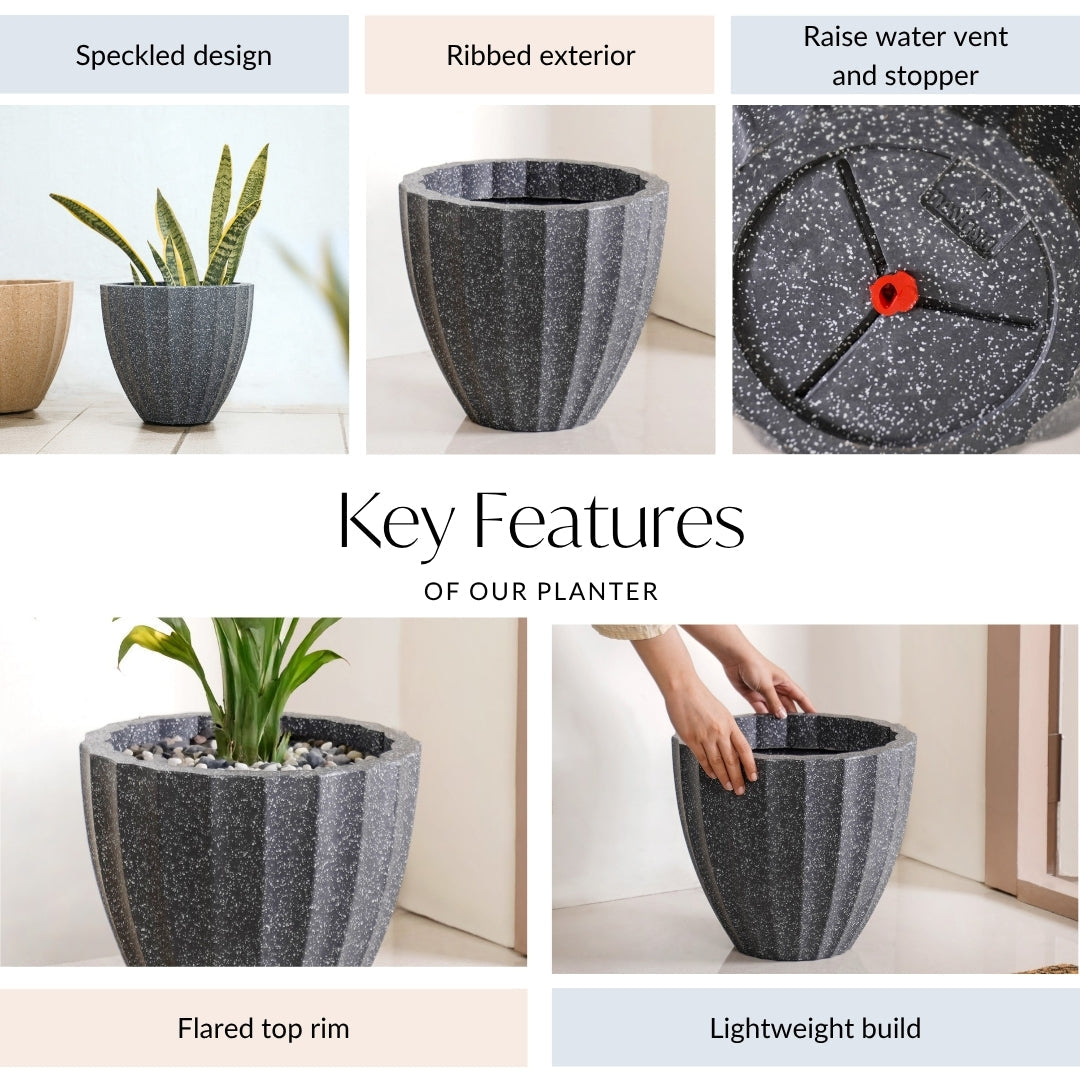 Planterra Ribbed Black Planting Pot 12x12 Inch