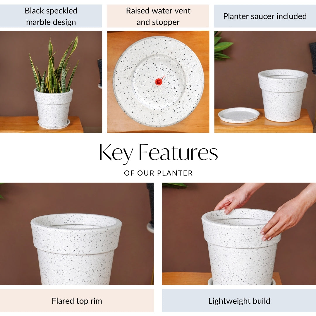 Planterra White Planter With Plate 10x9 Inch