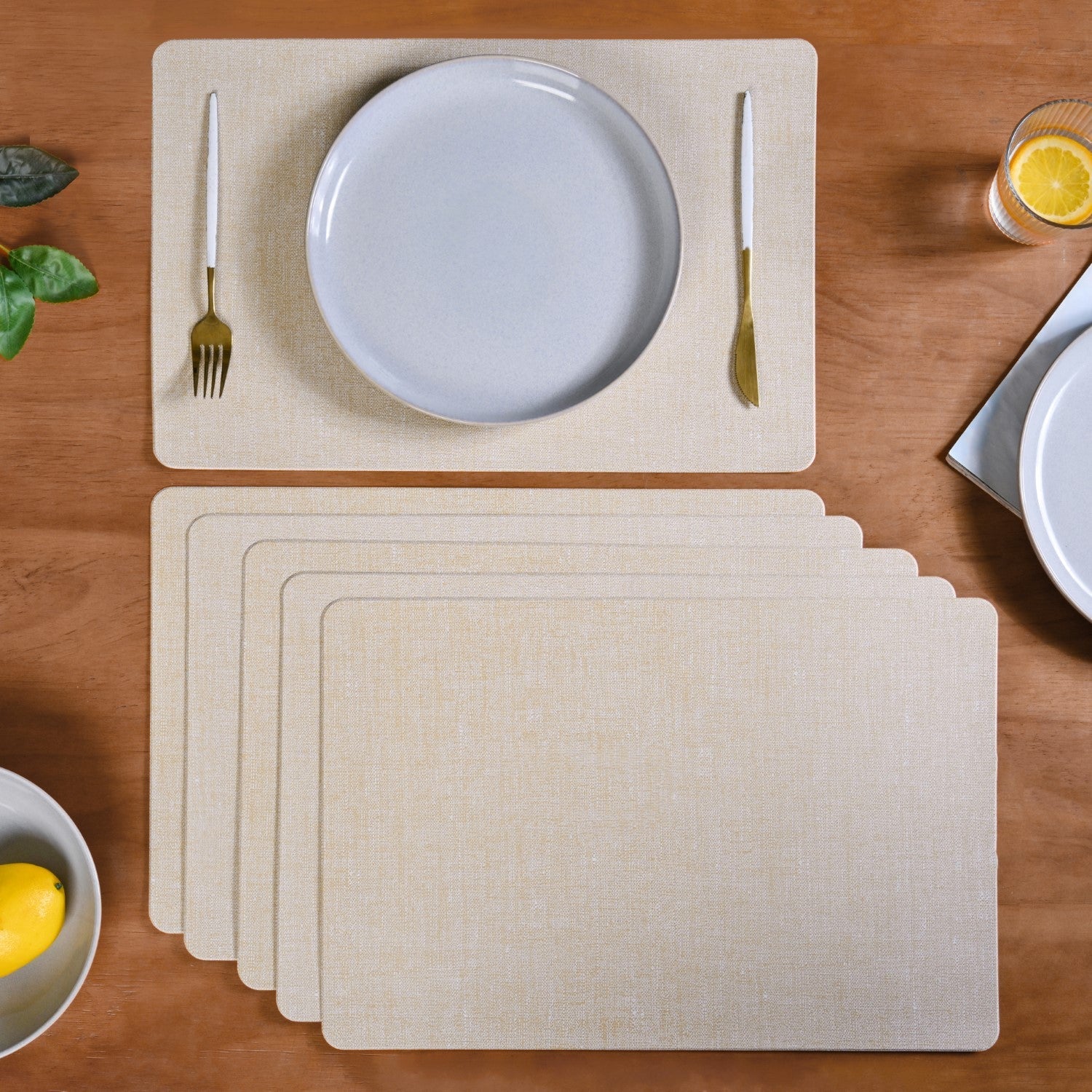 Rectangular Beige Dining Table Mat Set Of 6
