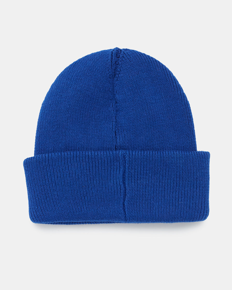 Alden Beanie