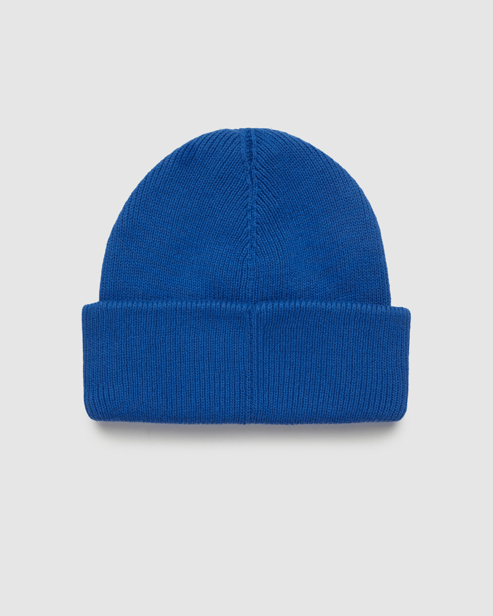 Alden Beanie