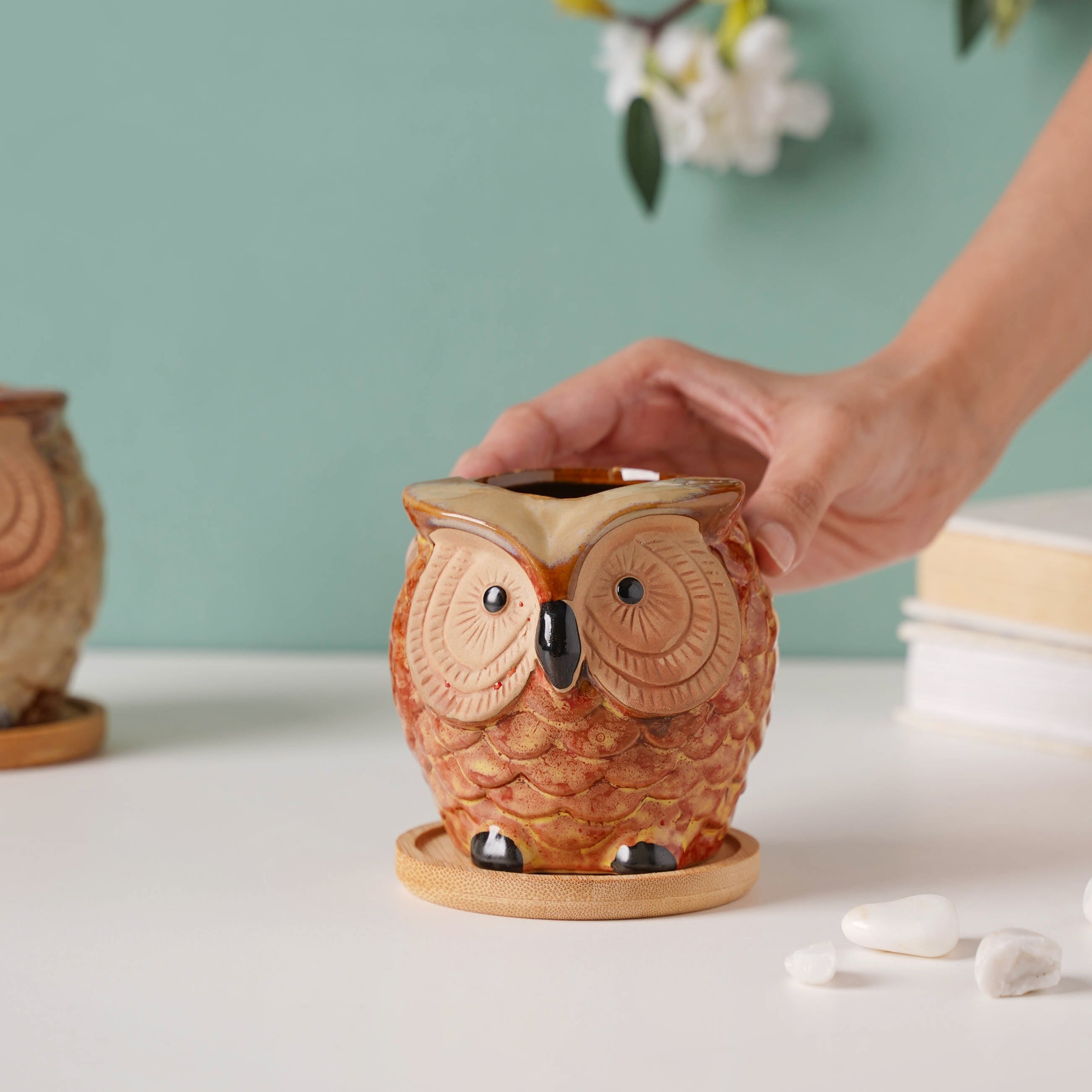 Orange Owl Ceramic Planter With Wooden Coaster