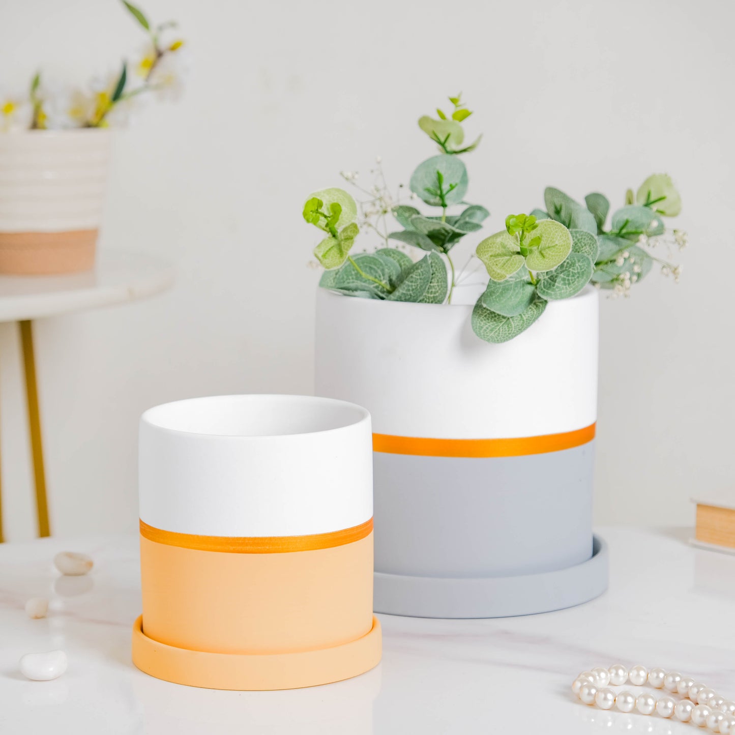 Grey And White Bicolour Pot With Plate