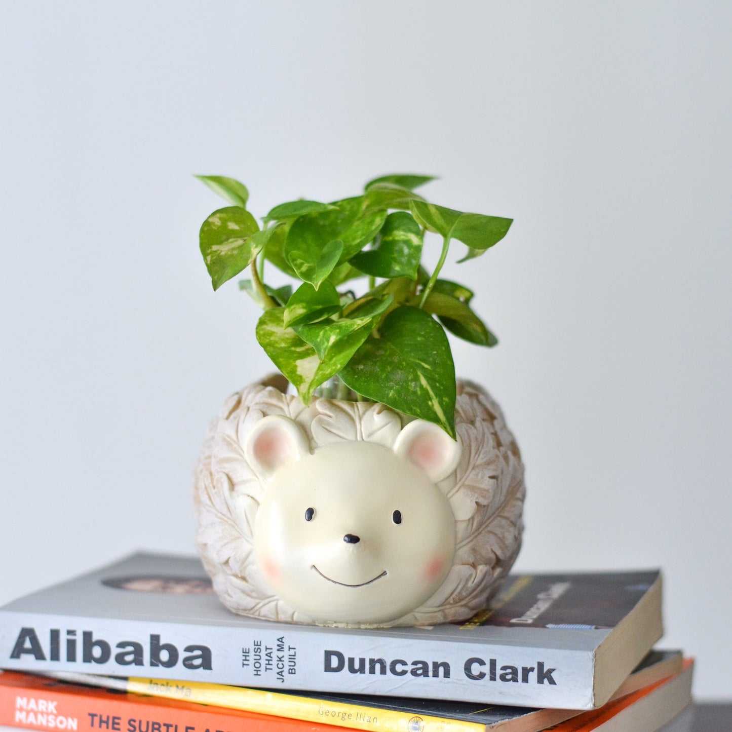 Hedgehog Planter