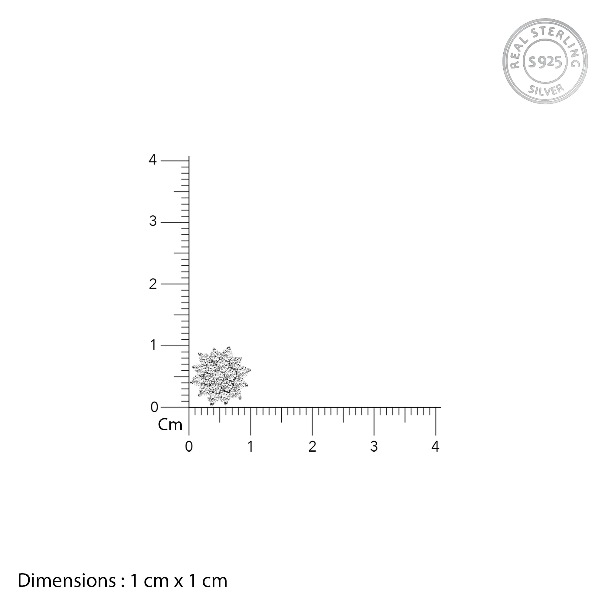 Anushka Sharma Silver Zircon Shining Star Studs