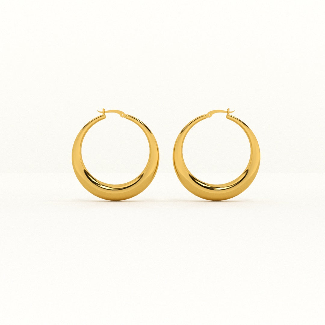 Tiny Plates Bracelet & Chic Chunky Hoop Earrings Combo Set