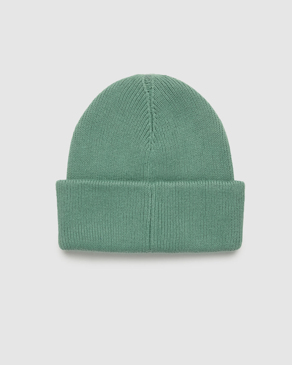 Alden Beanie