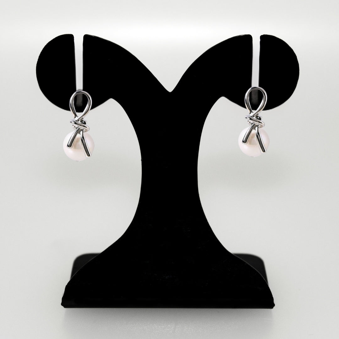 Infinite Promises Silver Drop Earrings