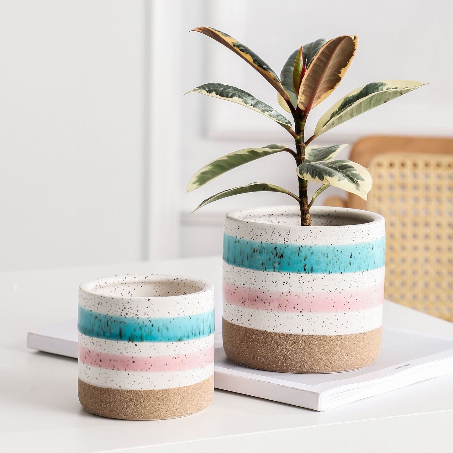 Multicolour Plant Pot Set Of 3