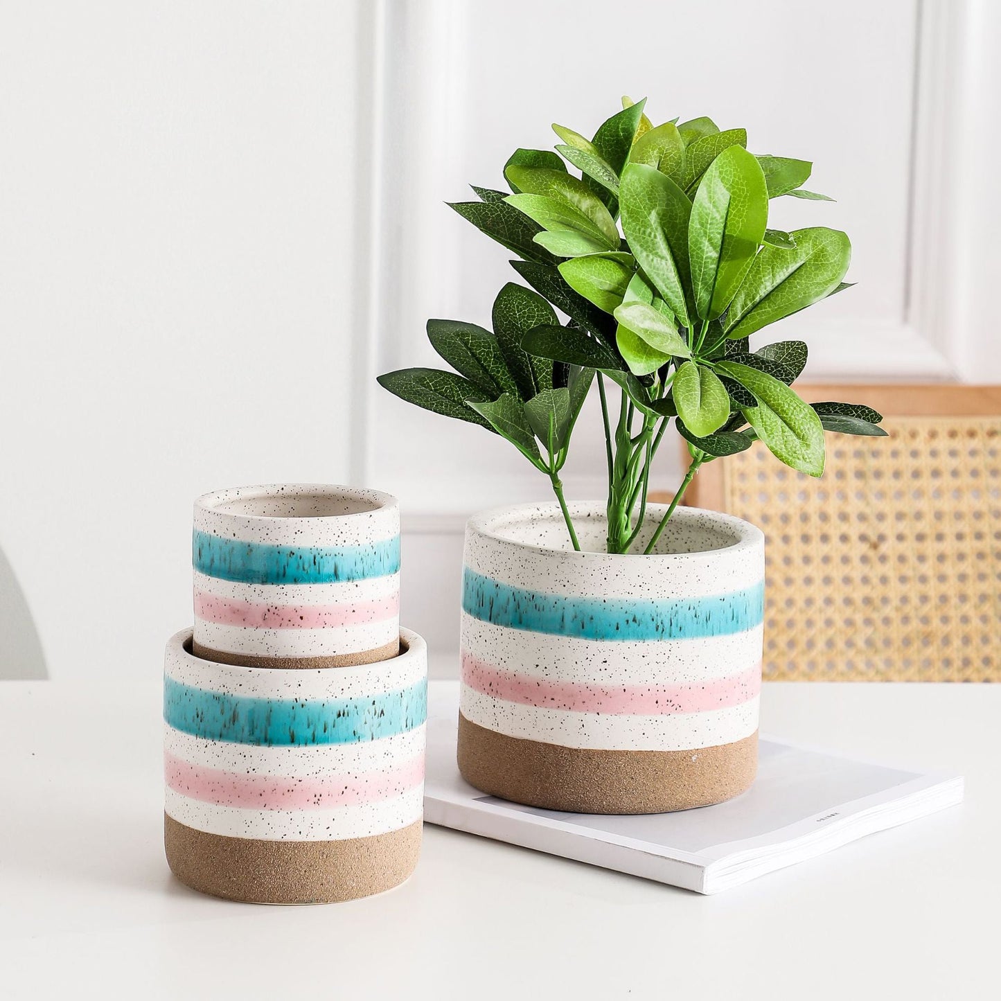 Multicolour Plant Pot Set Of 3