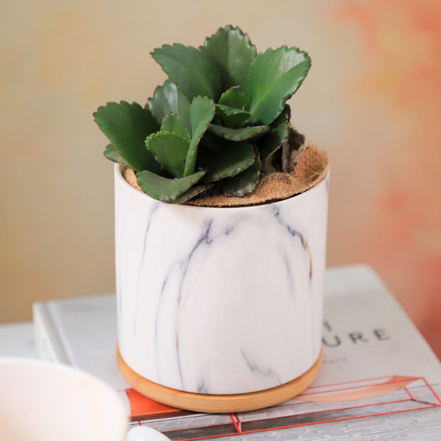 Marble Planter