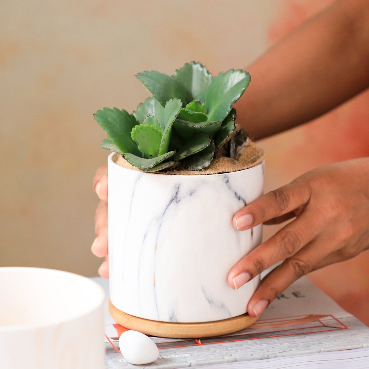 Marble Planter