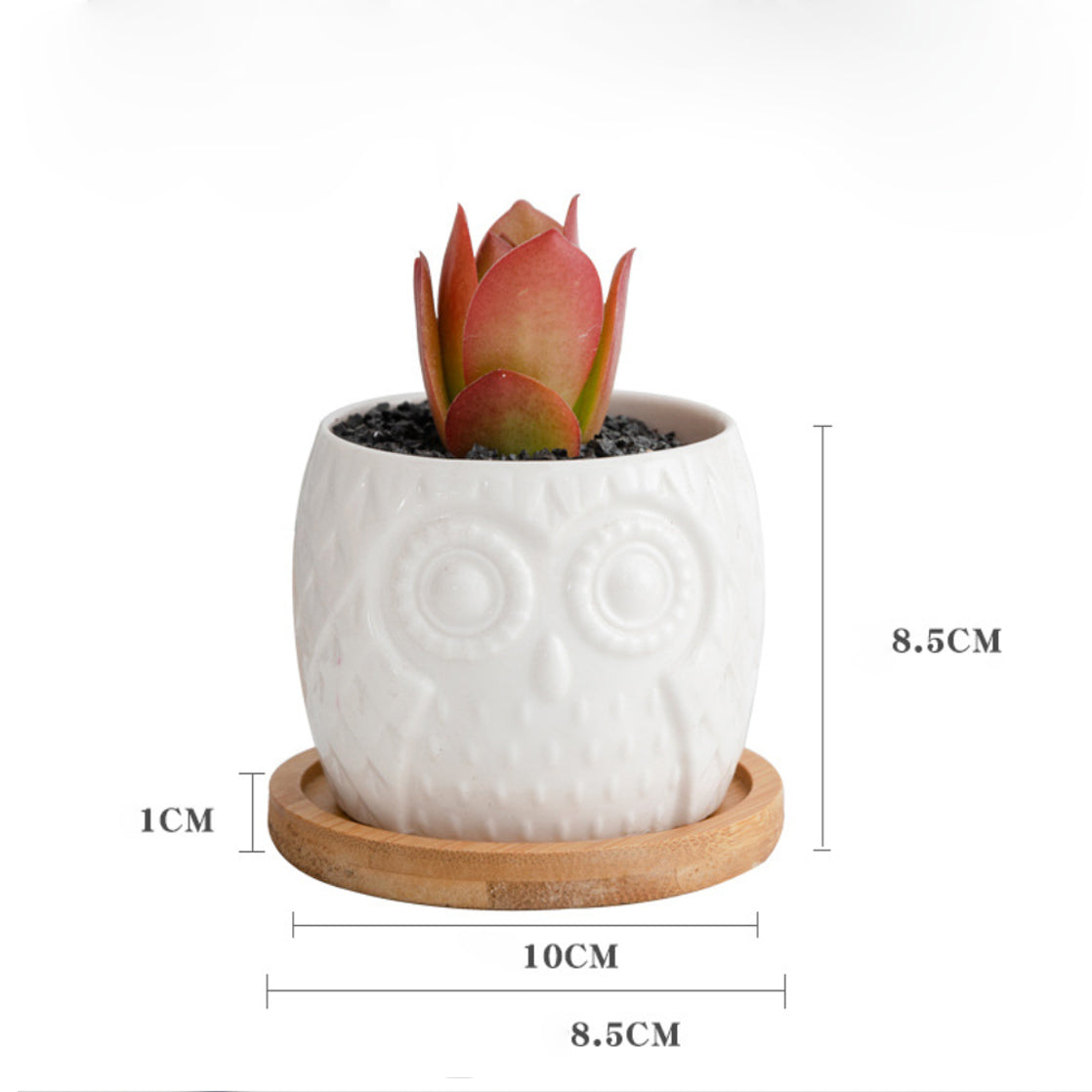 Owl Ceramic Pot