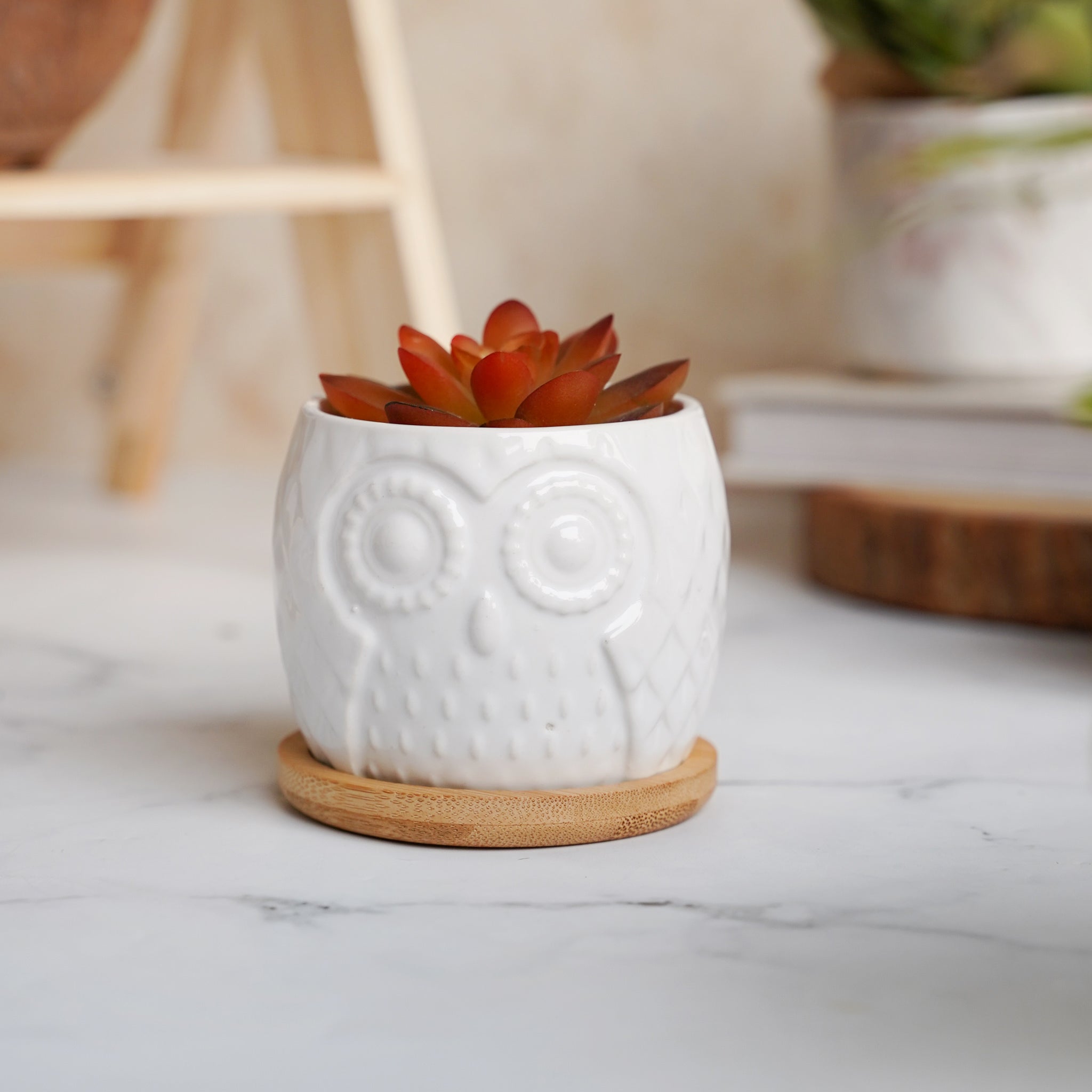 Owl Ceramic Pot