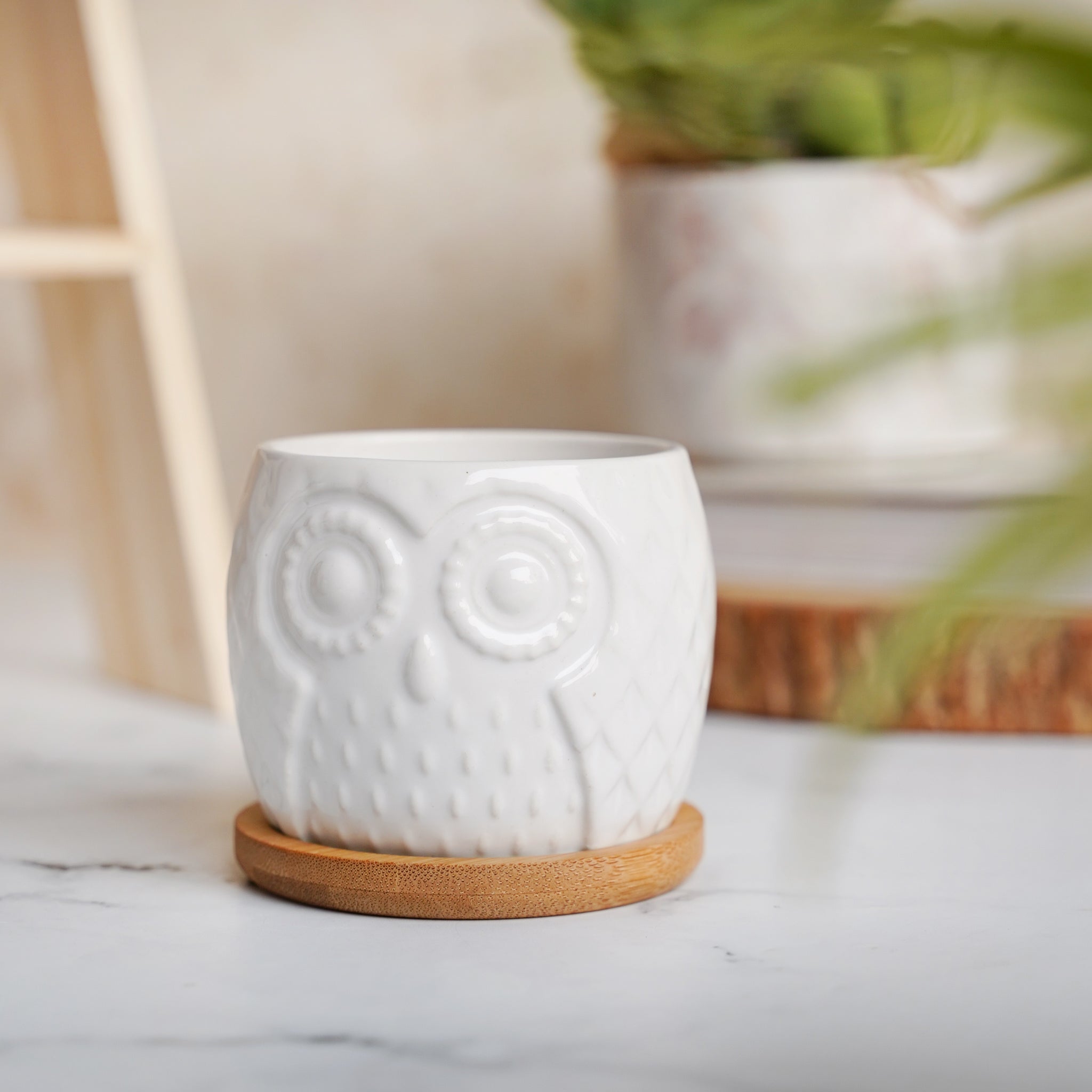 Owl Ceramic Pot