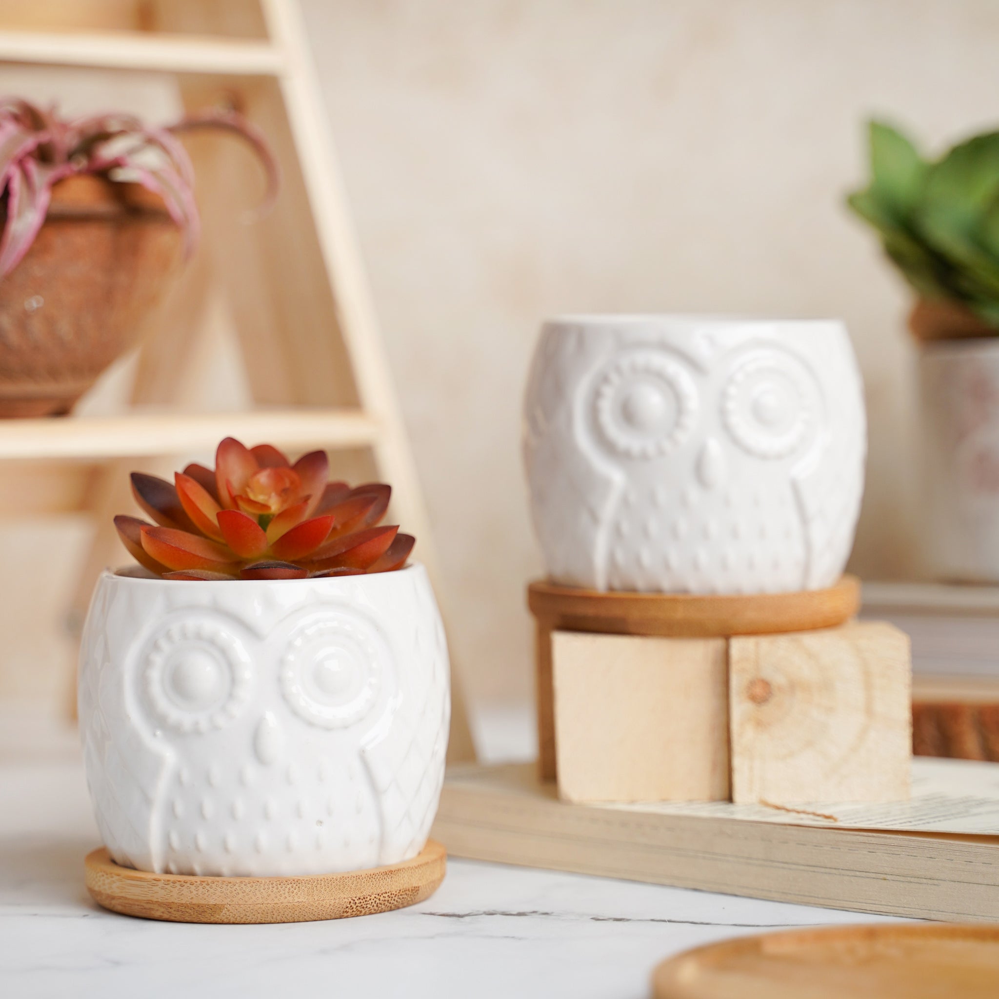 Owl Ceramic Pot