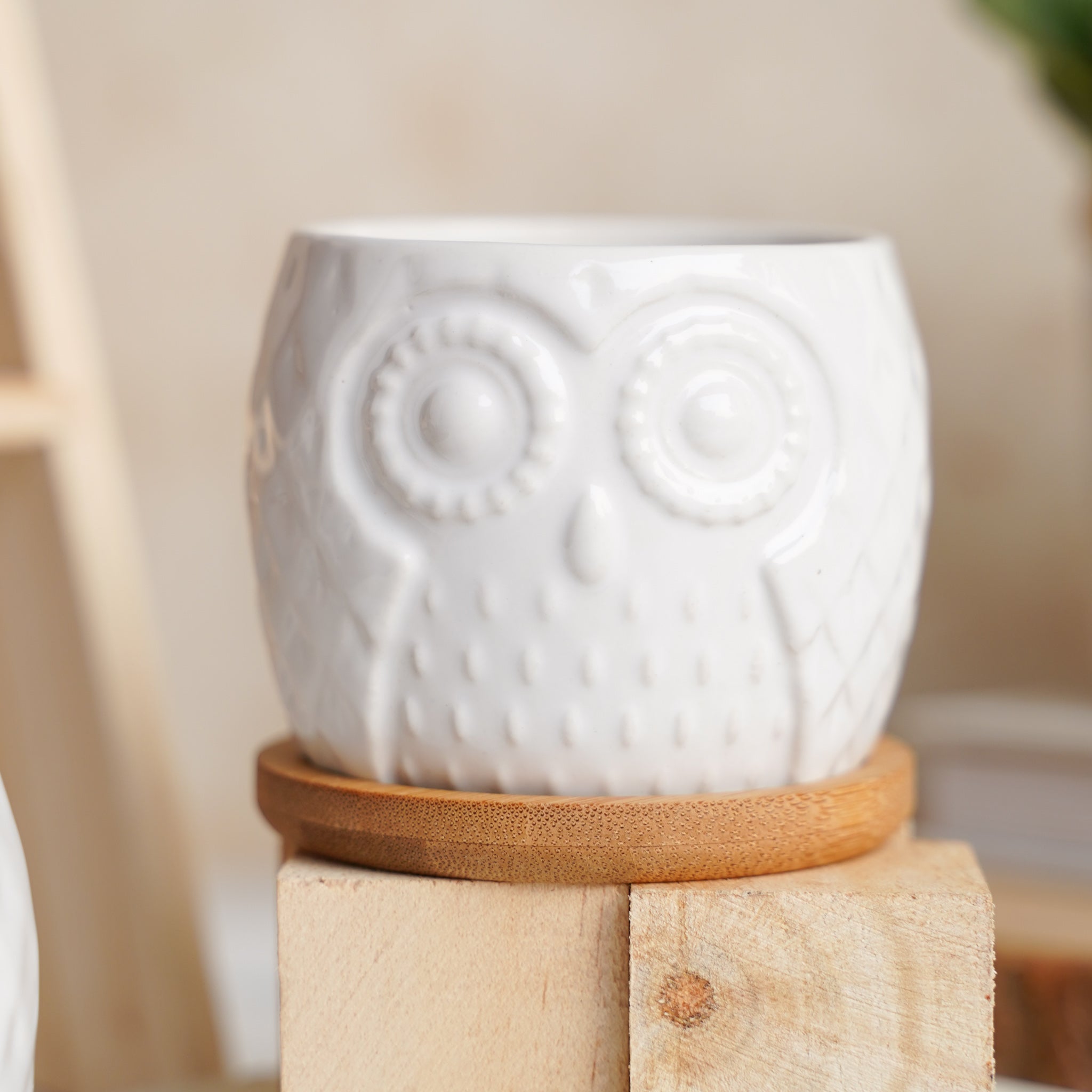 Owl Ceramic Pot