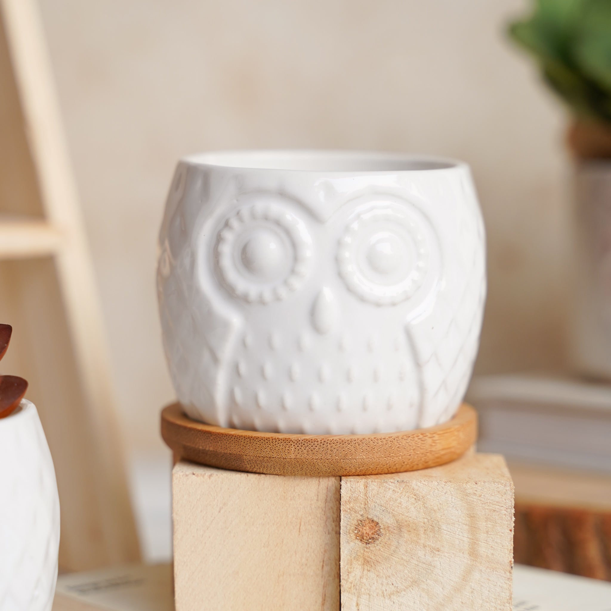 Owl Ceramic Pot