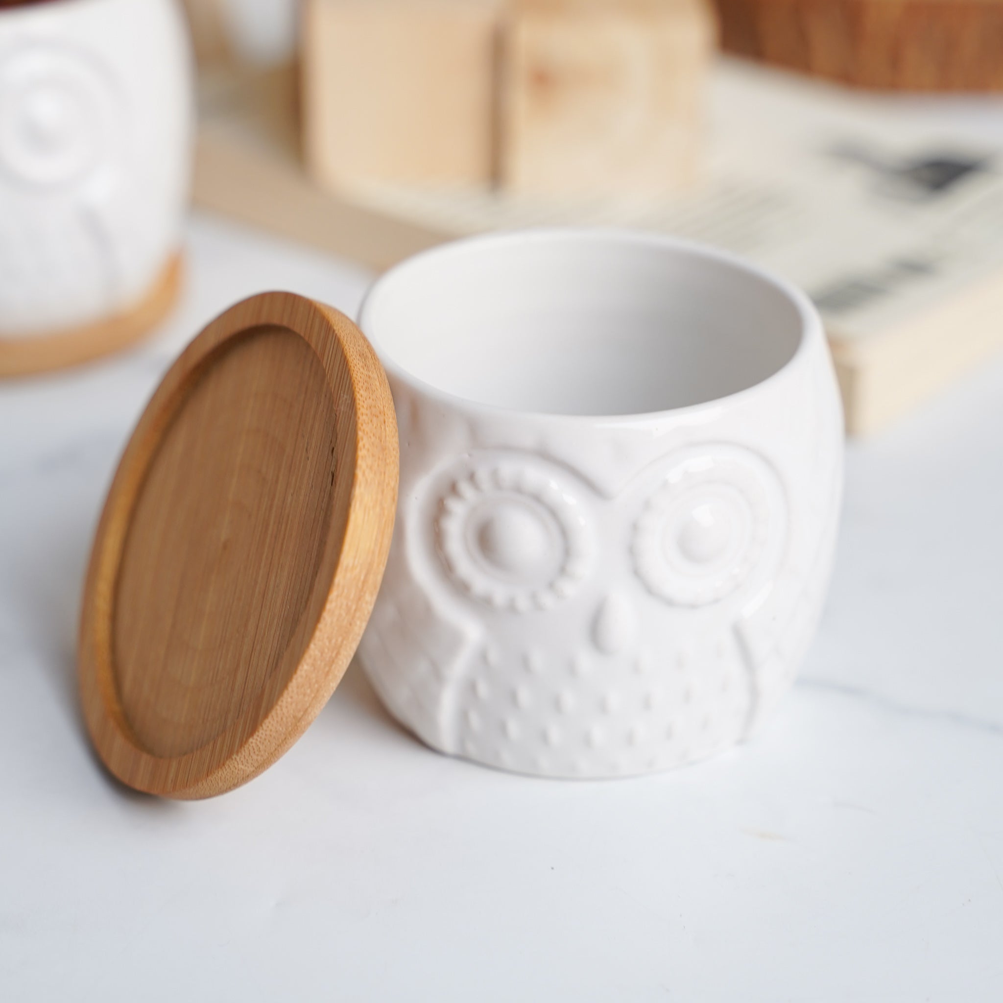 Owl Ceramic Pot