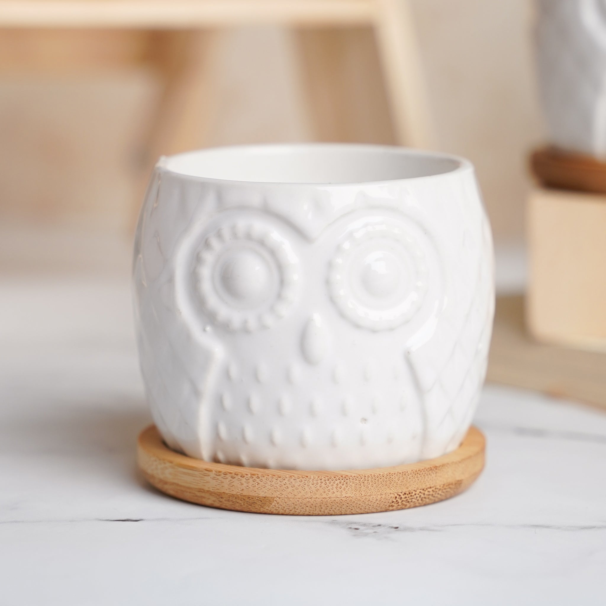 Owl Ceramic Pot