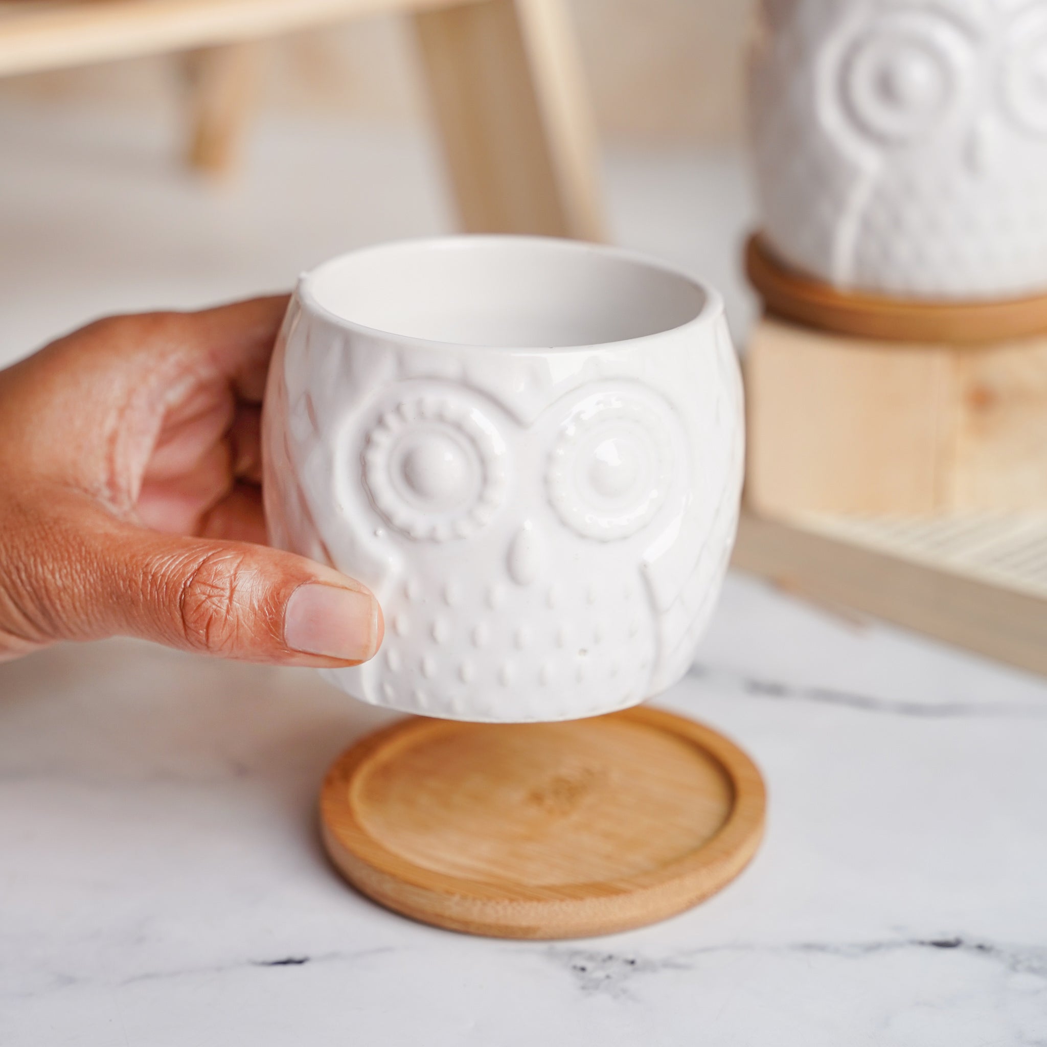 Owl Ceramic Pot