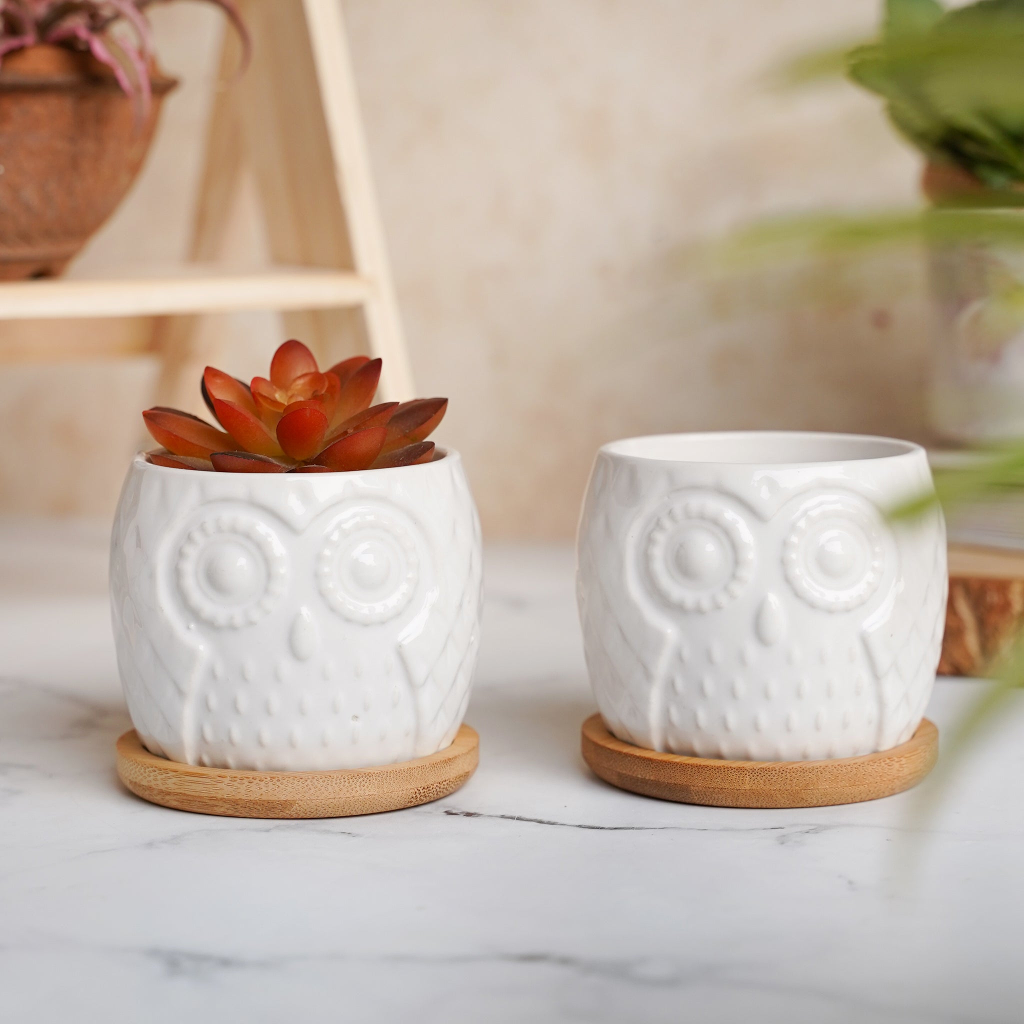 Owl Ceramic Pot