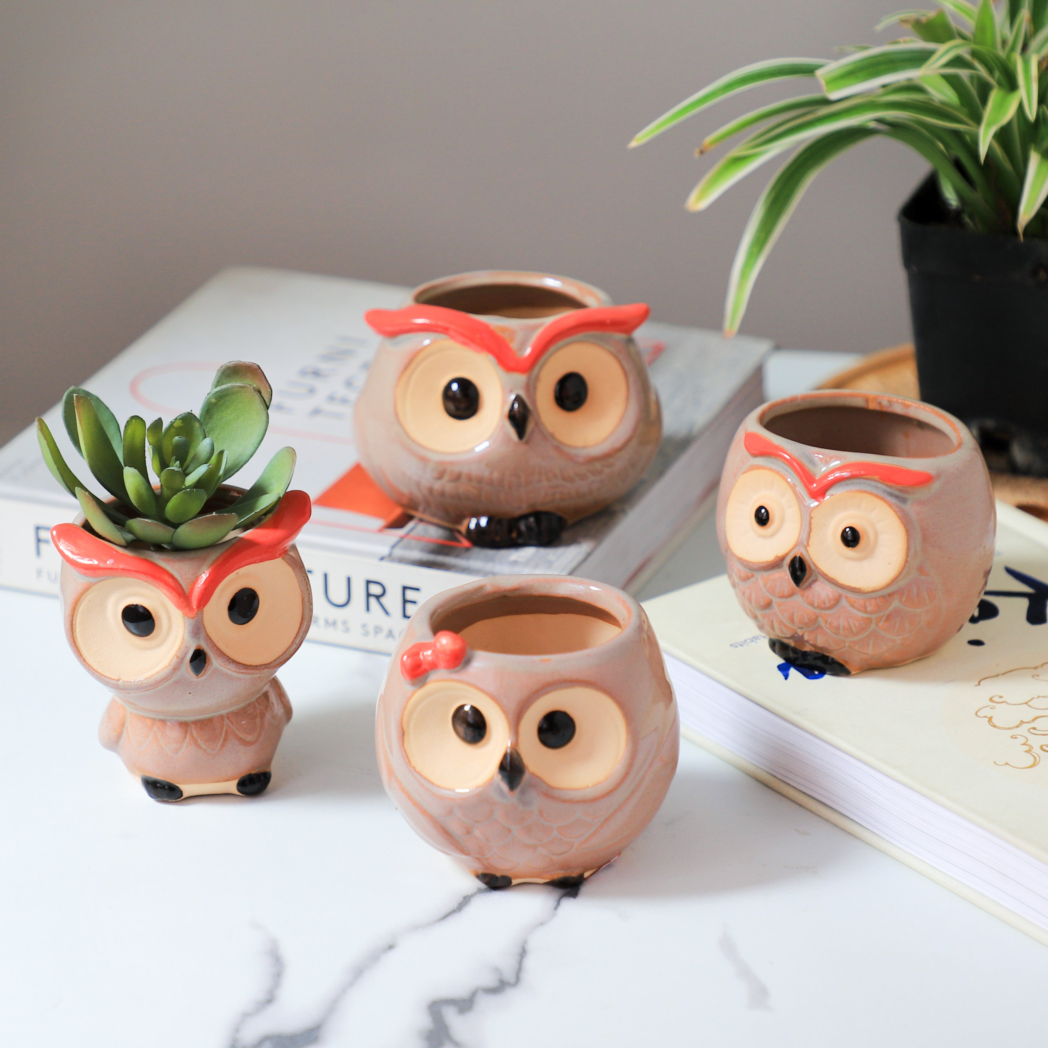 Owl Planter