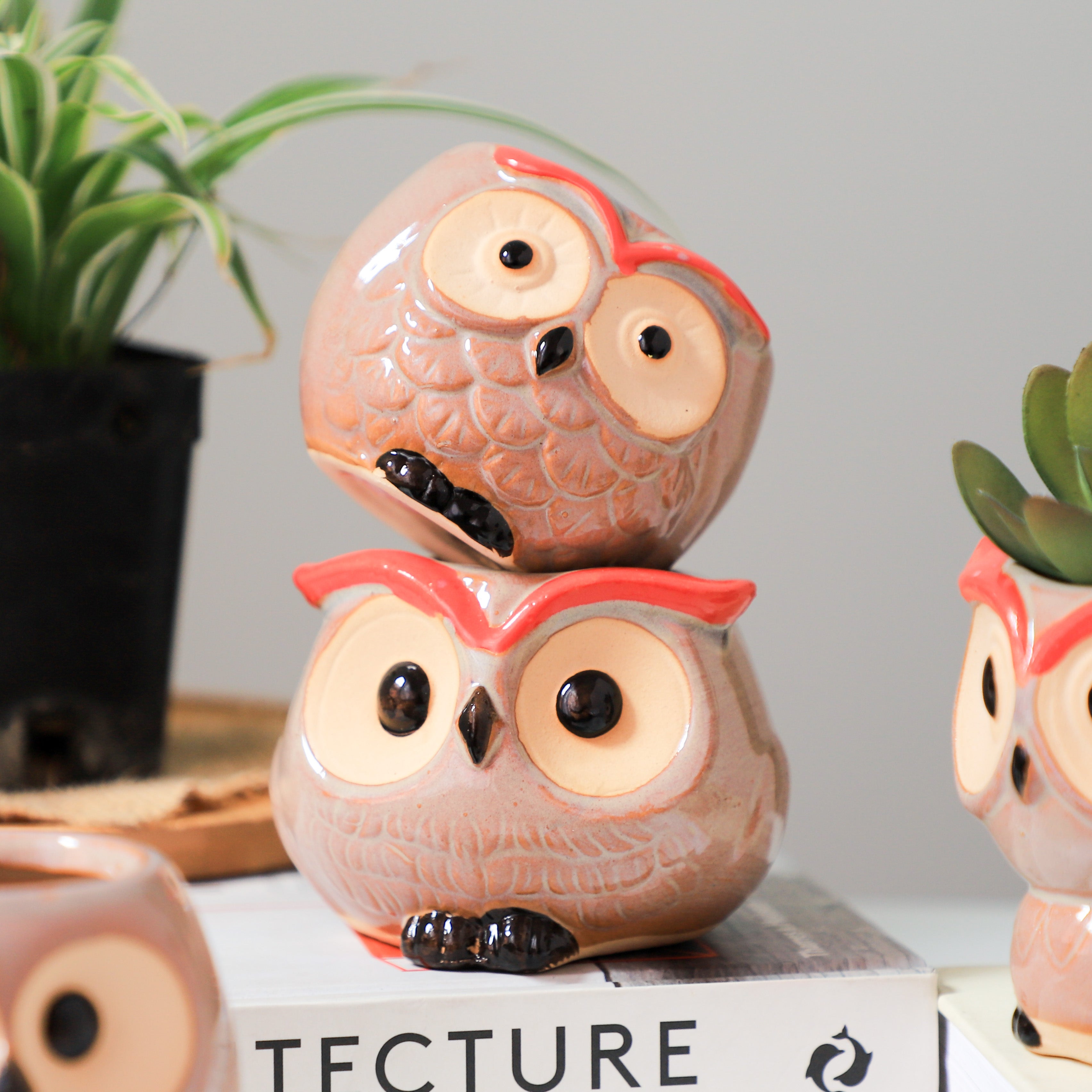 Owl Planter