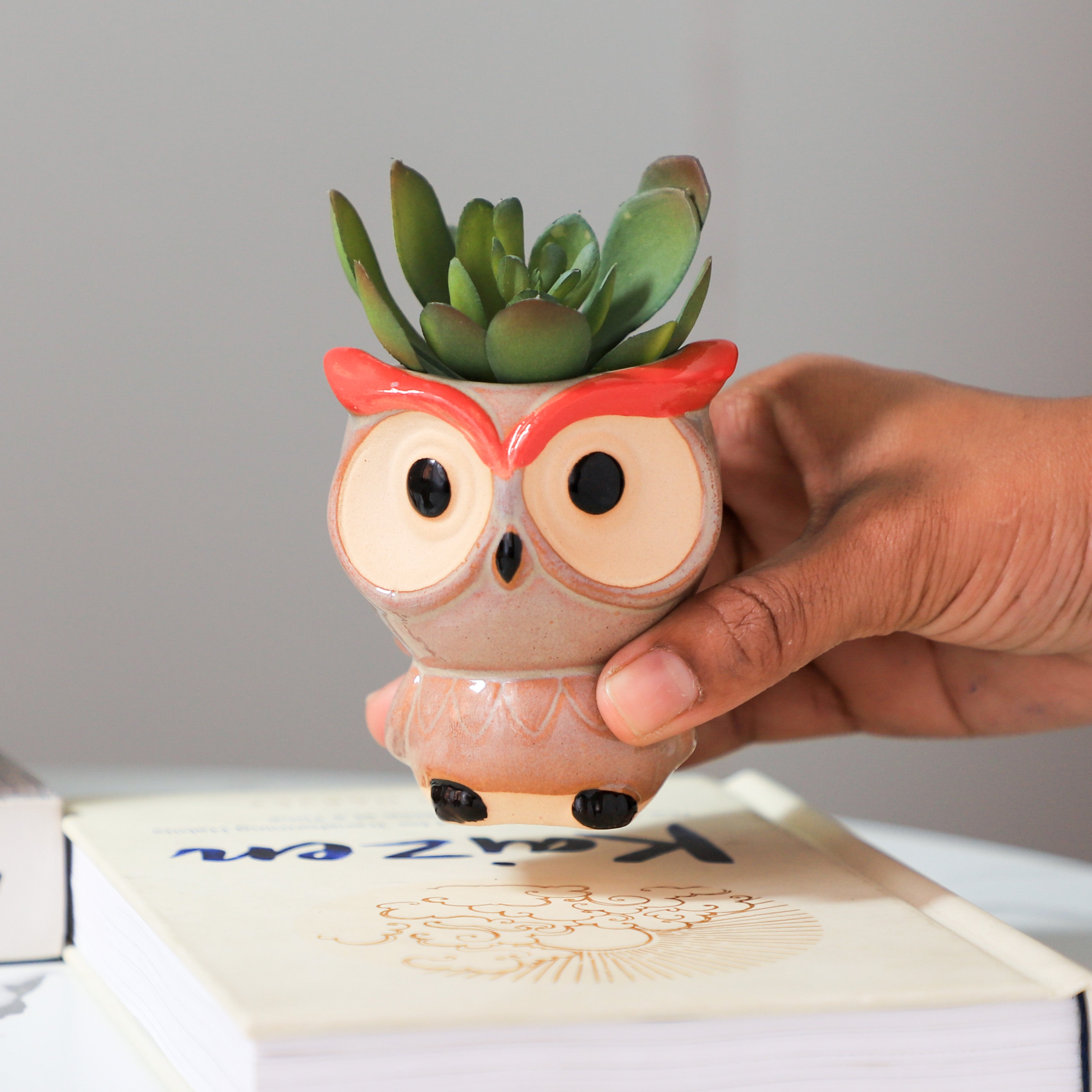 Owl Planter