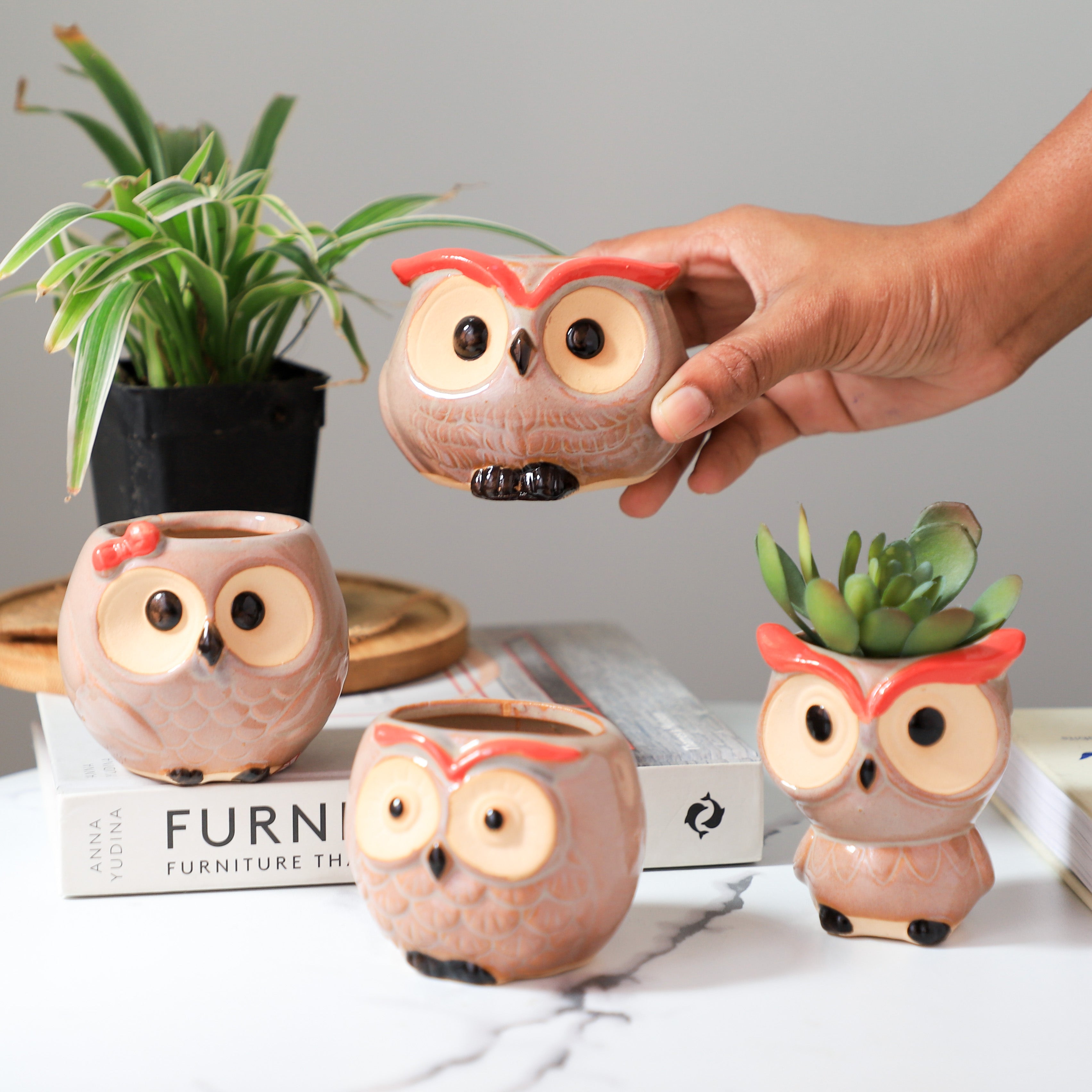 Owl Planter