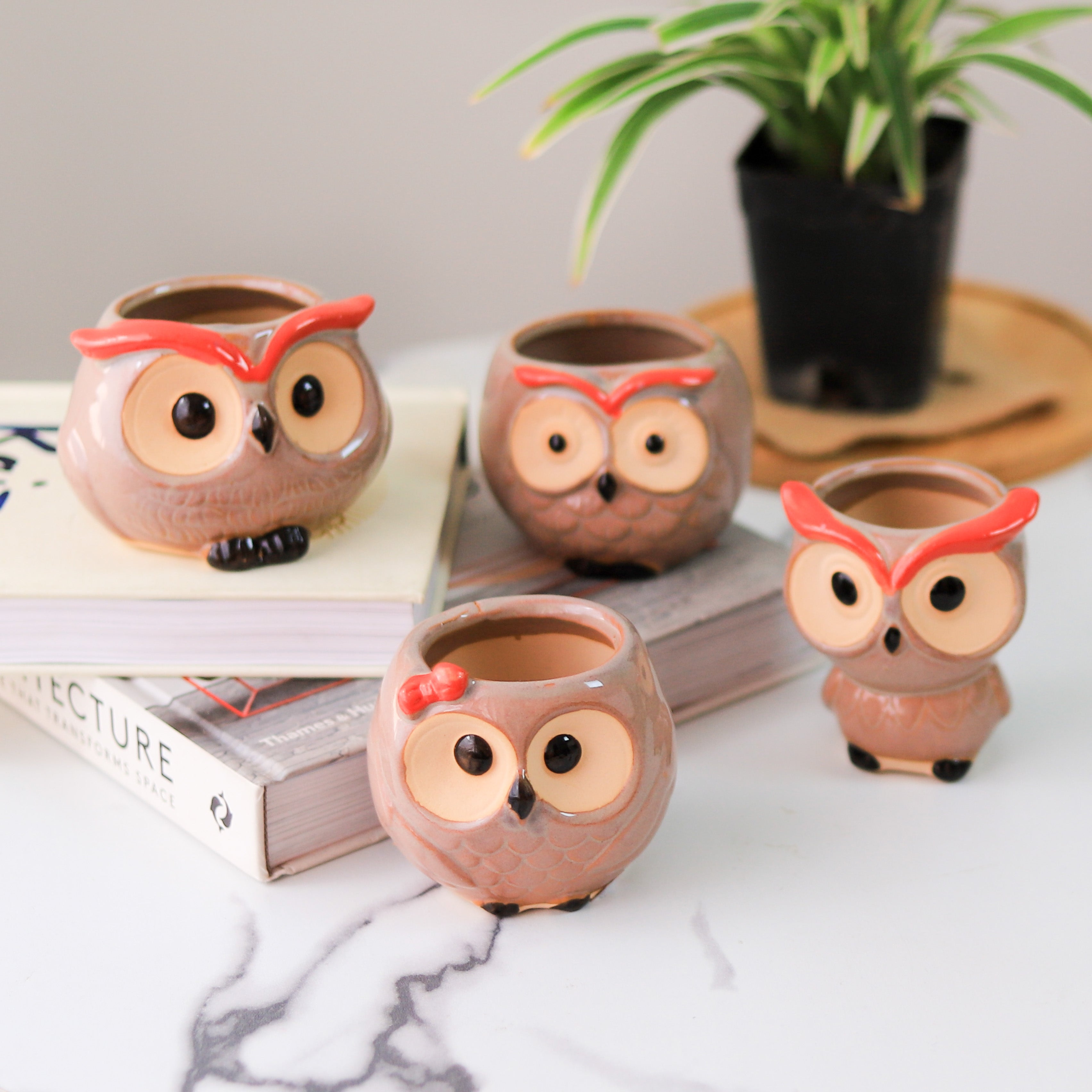Owl Planter