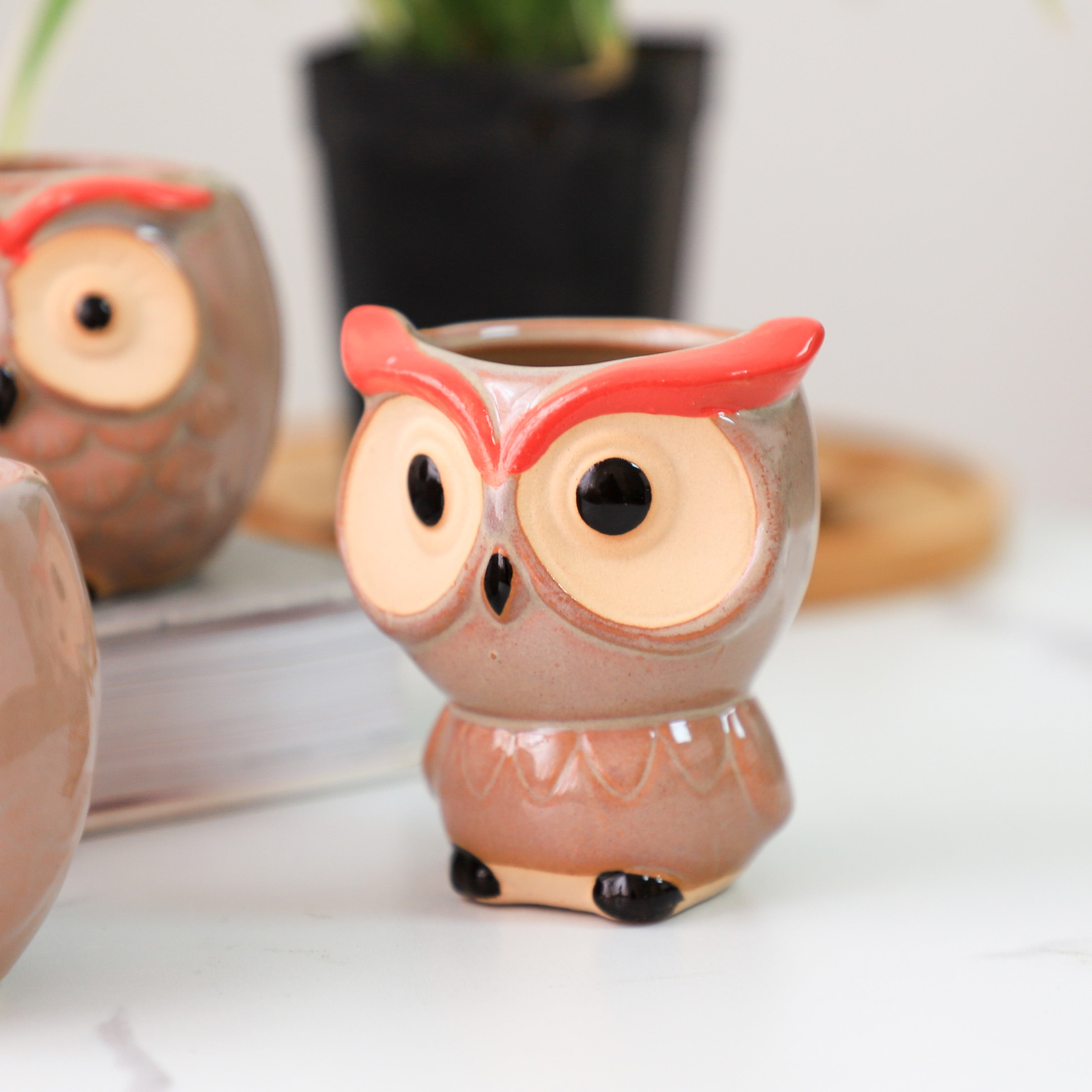 Owl Planter