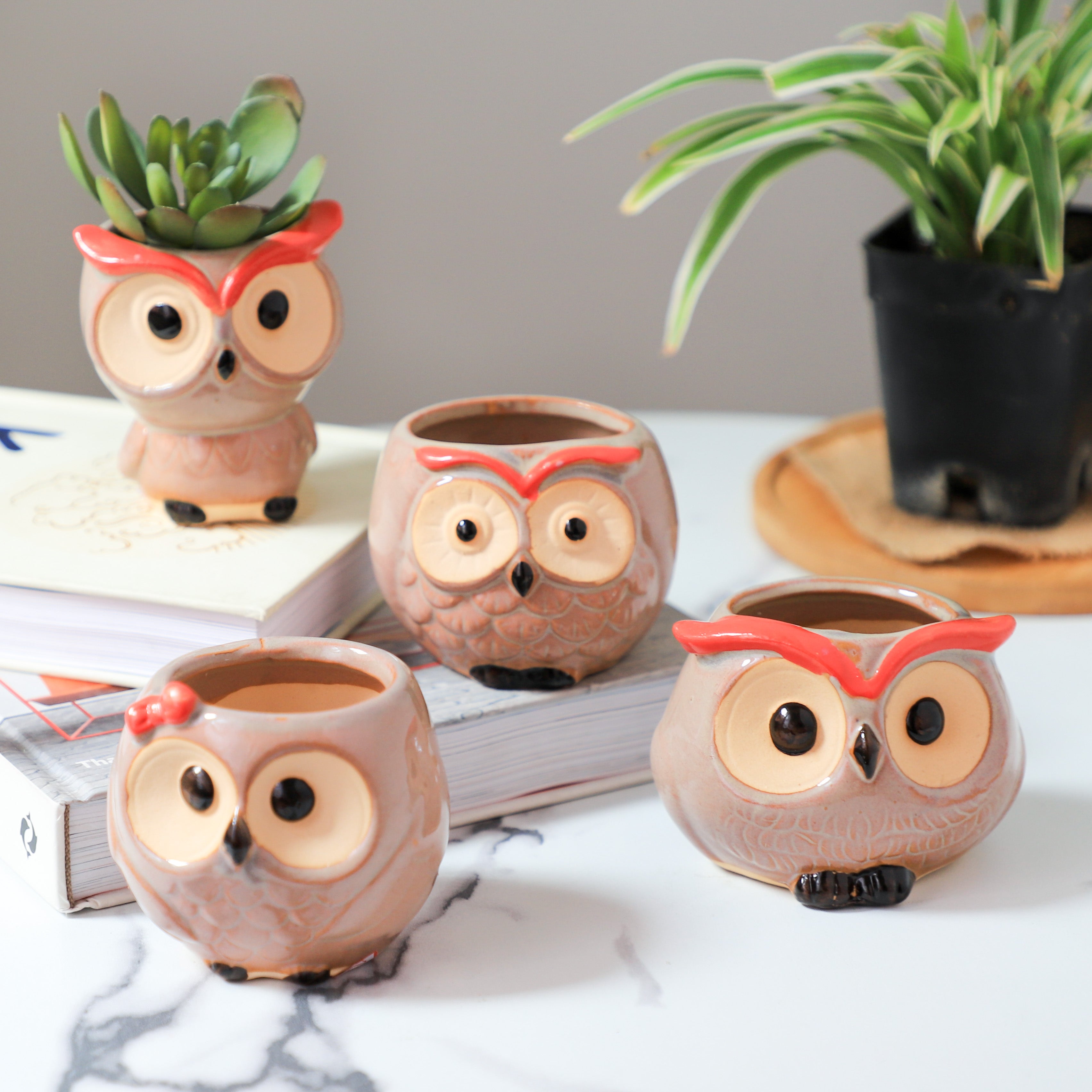 Owl Planter