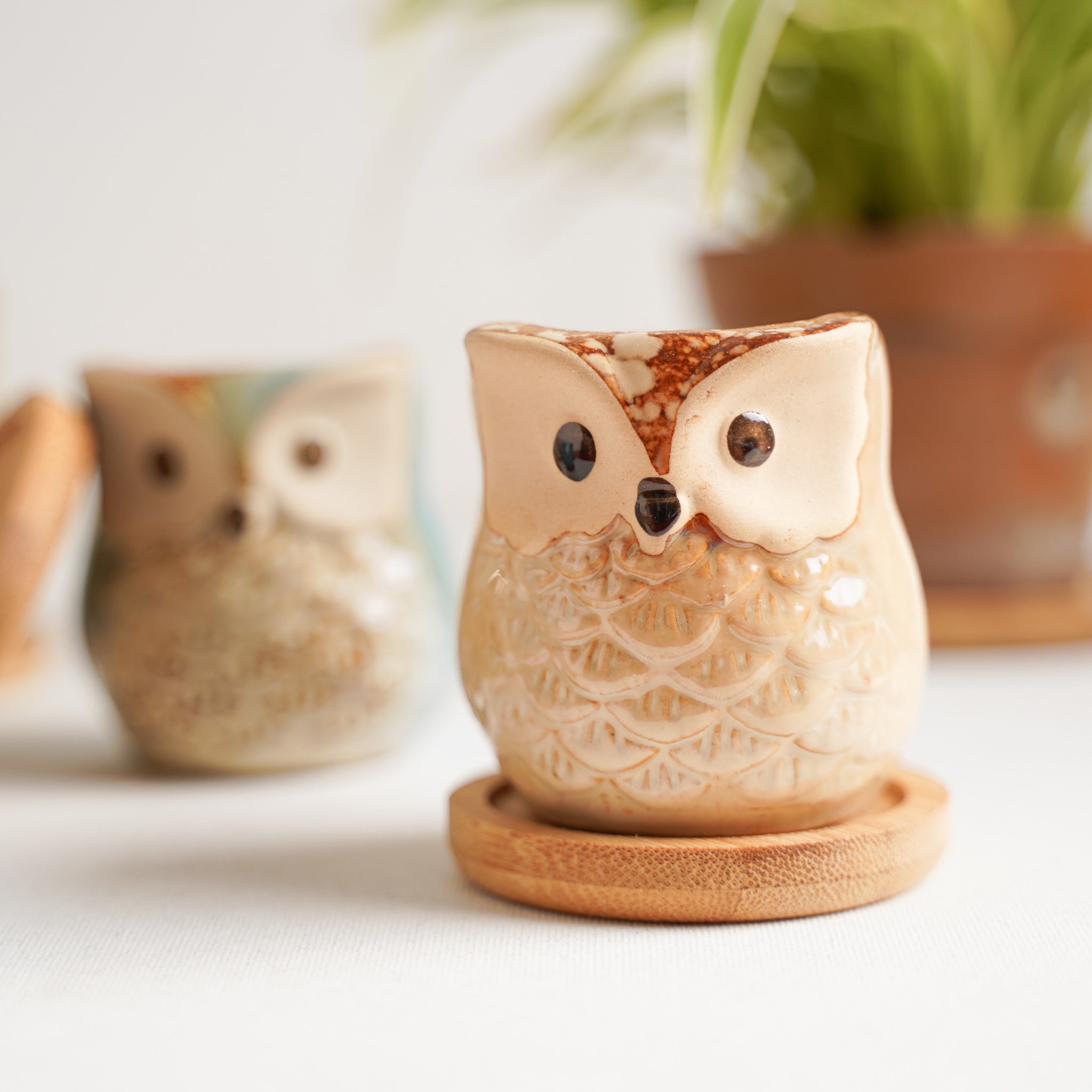 Owl Planters Set of 6