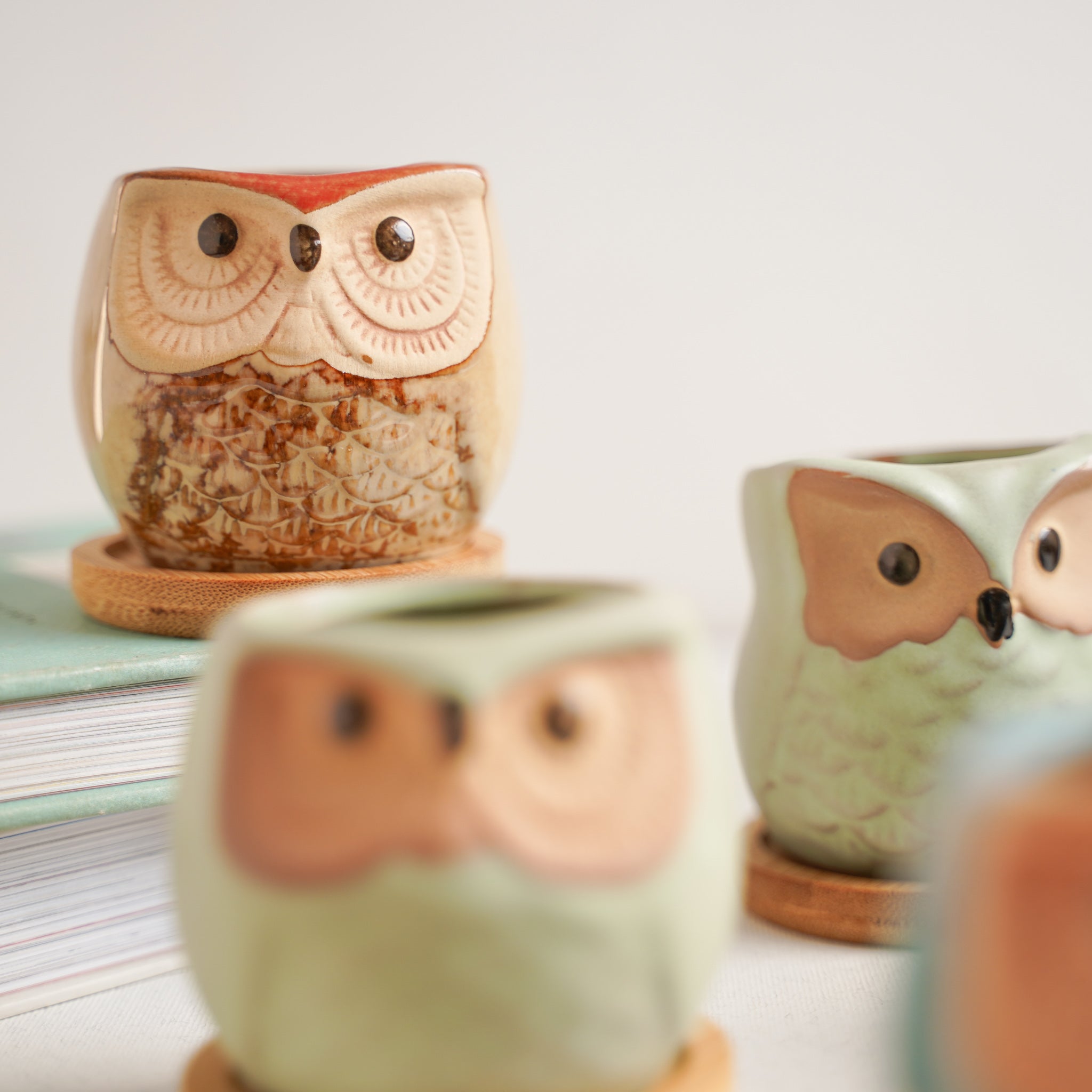 Owl Planters Set of 6
