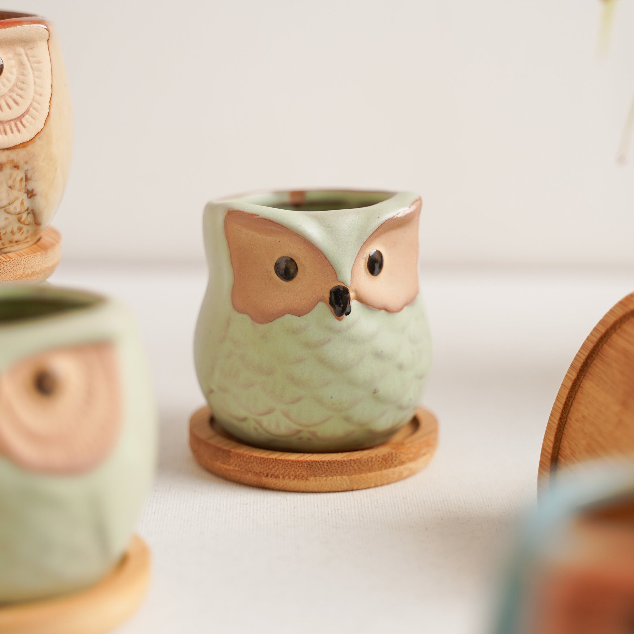 Owl Planters Set of 6
