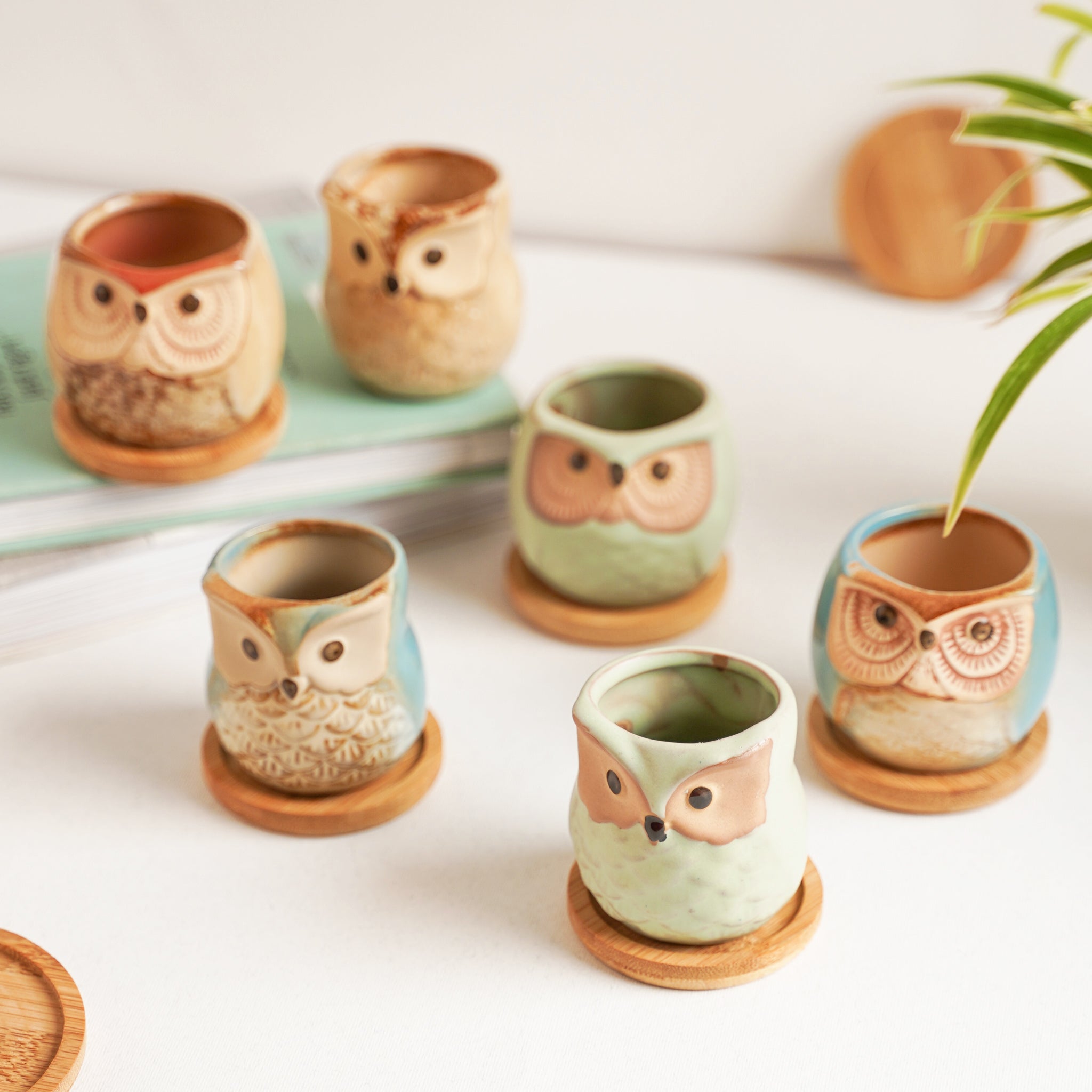 Owl Planters Set of 6