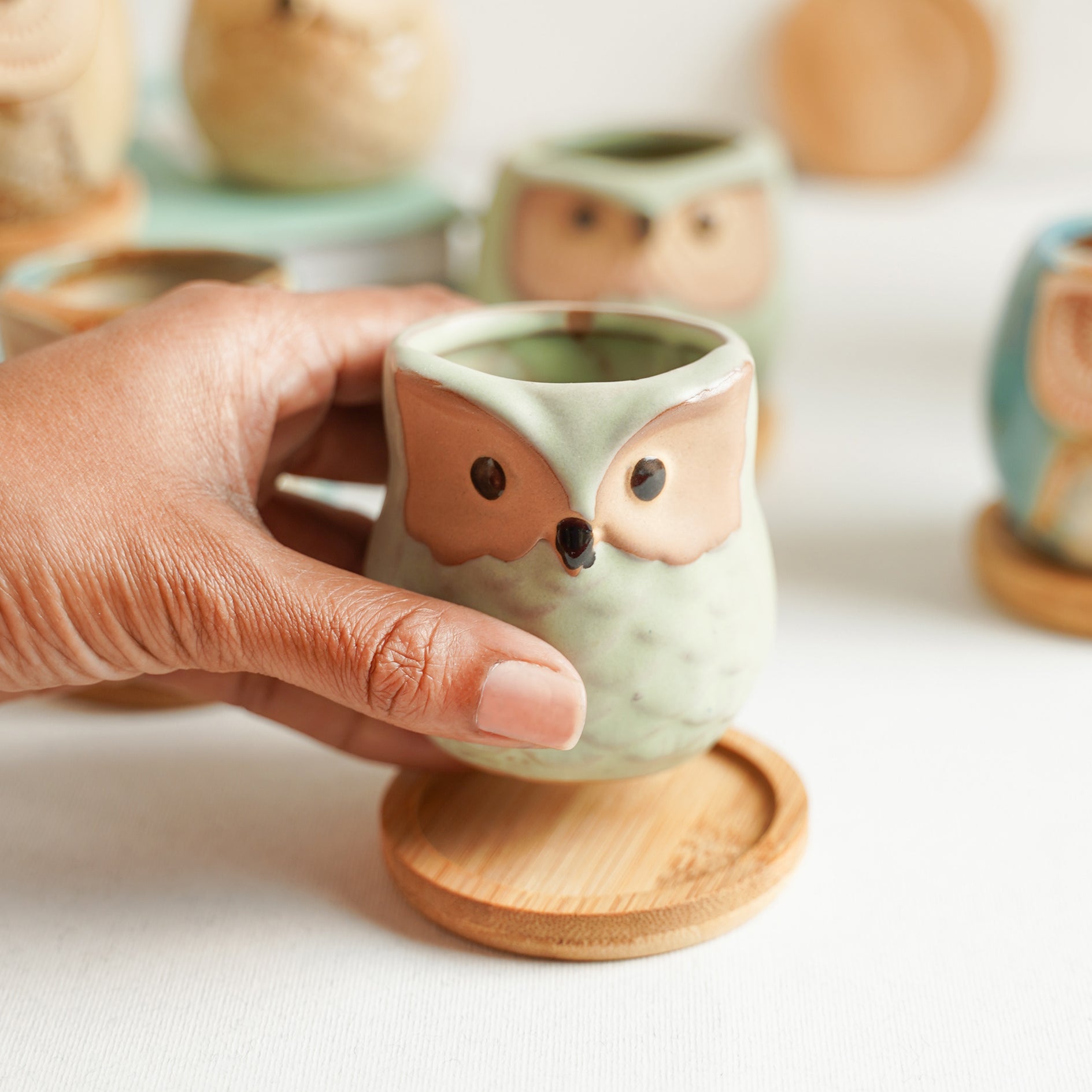 Owl Planters Set of 6
