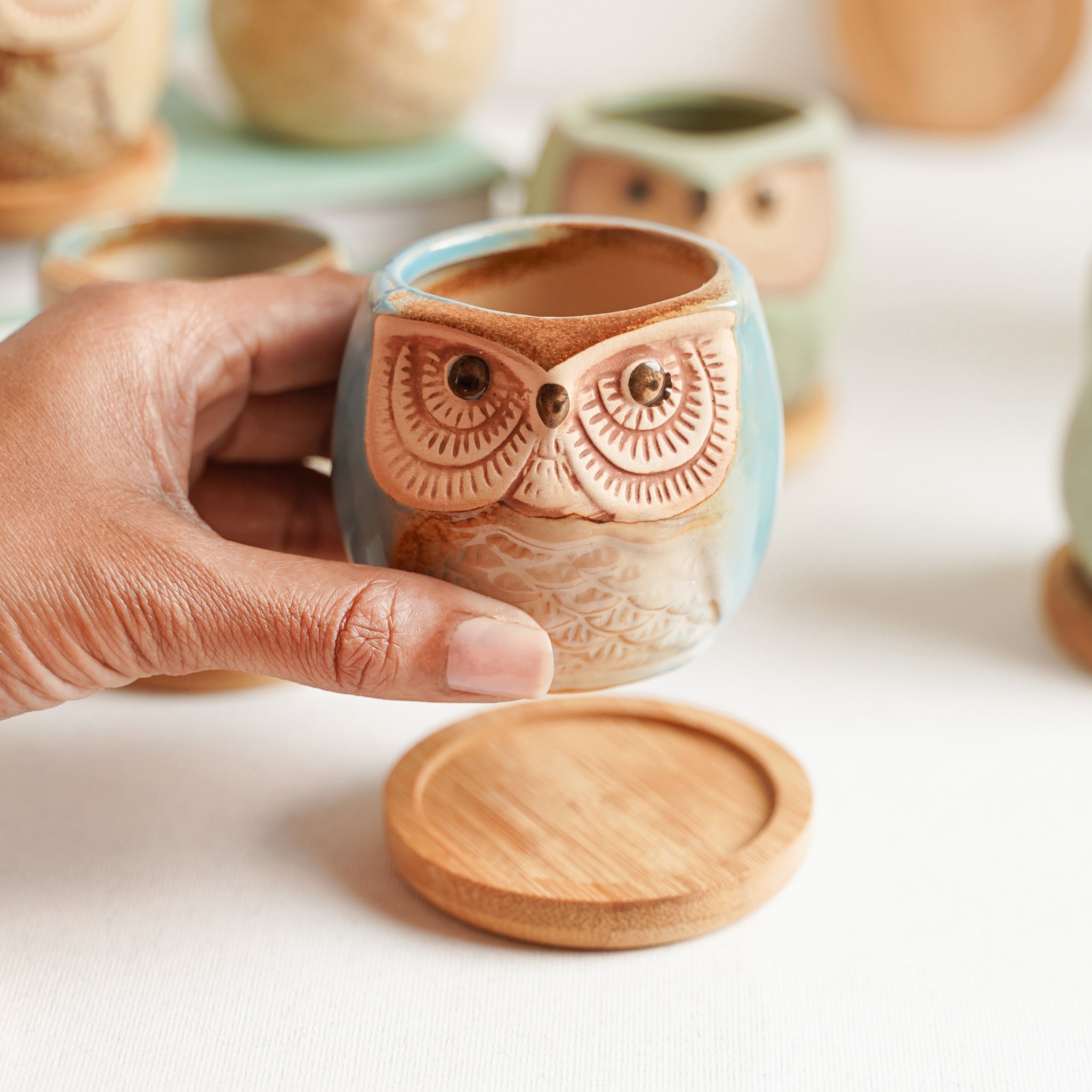 Owl Planters Set of 6