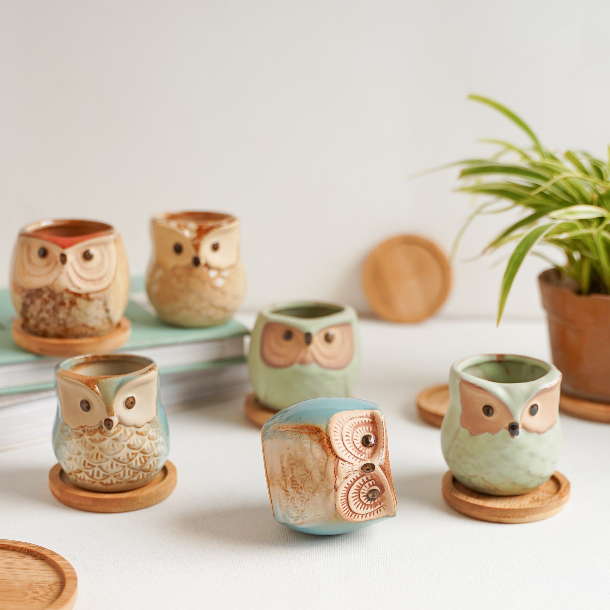 Owl Planters Set of 6