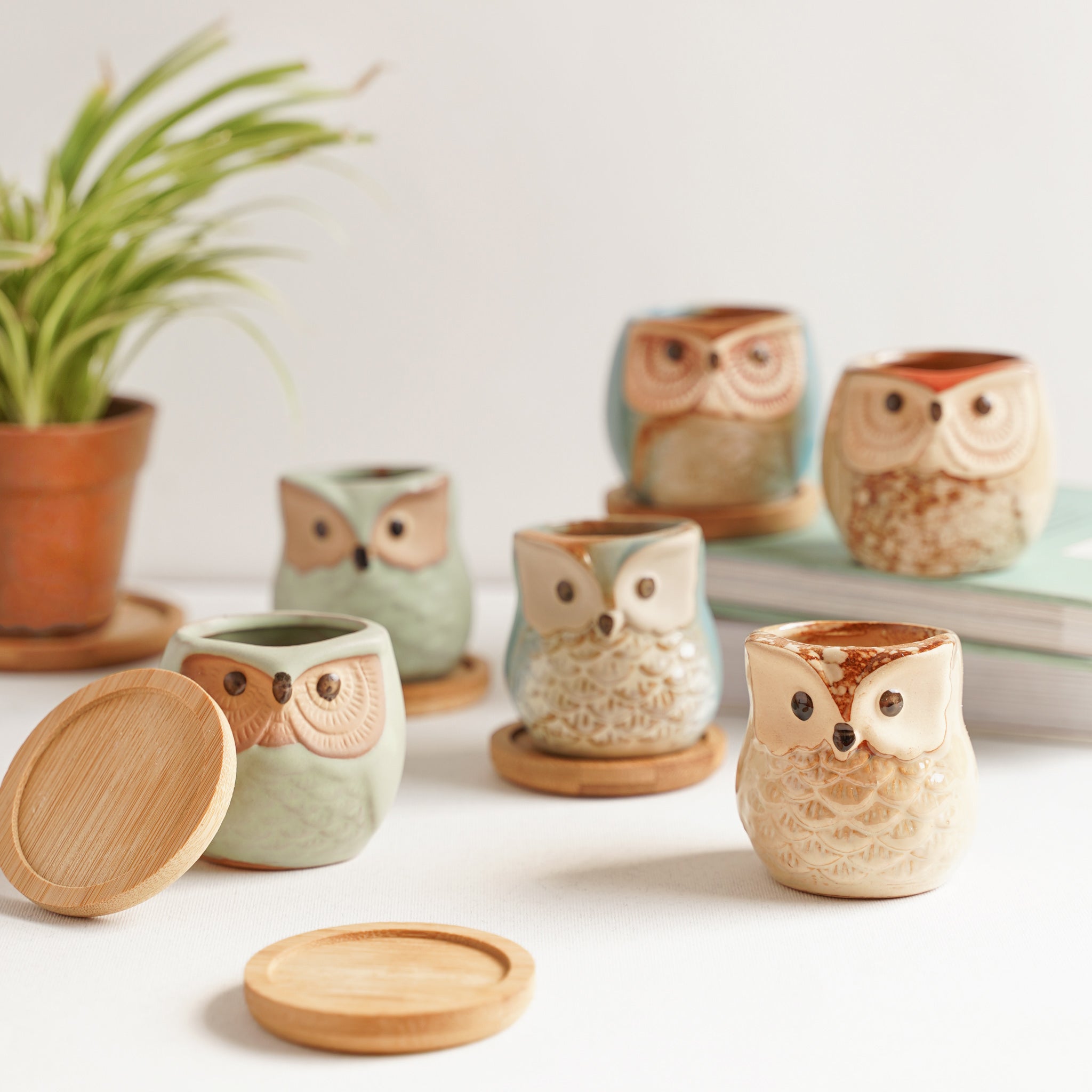 Owl Planters Set of 6