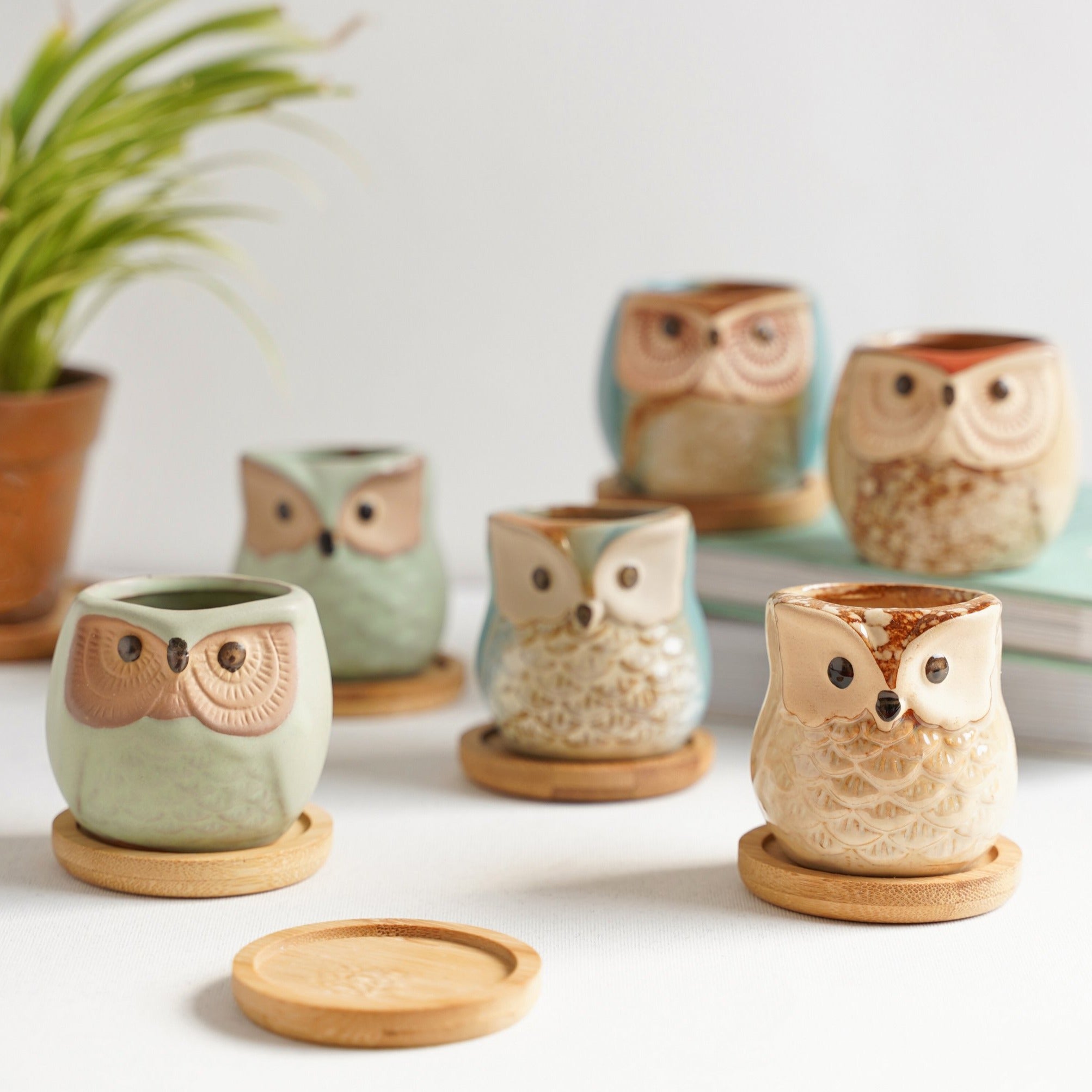 Owl Planters Set of 6