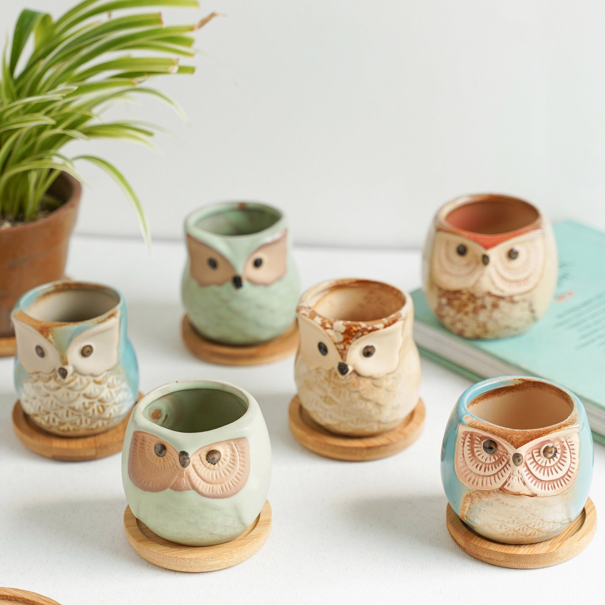 Owl Planters Set of 6