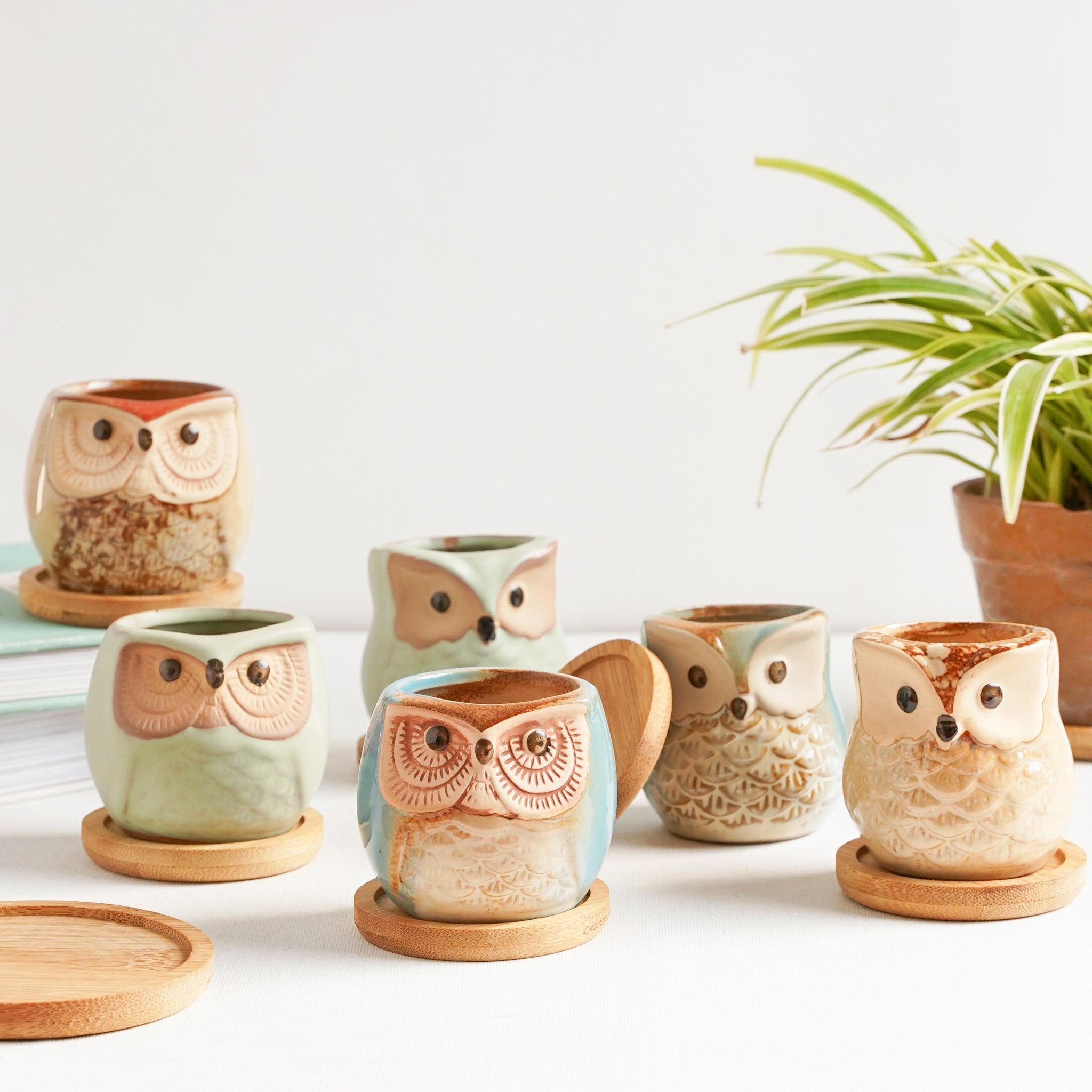 Owl Planters Set of 6