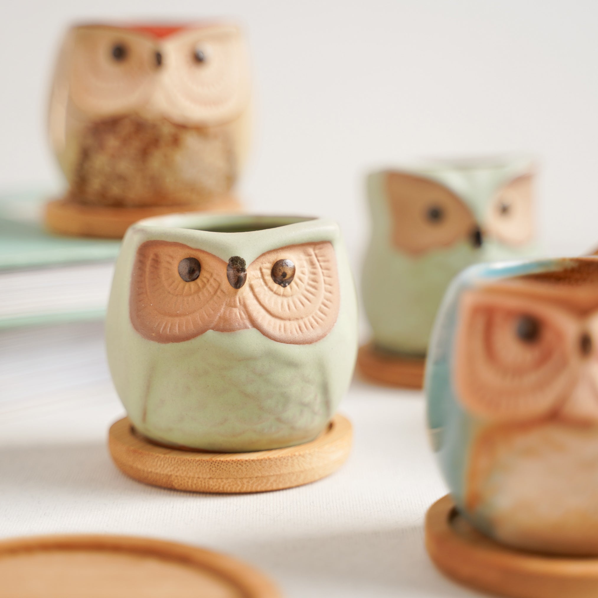 Owl Planters Set of 6