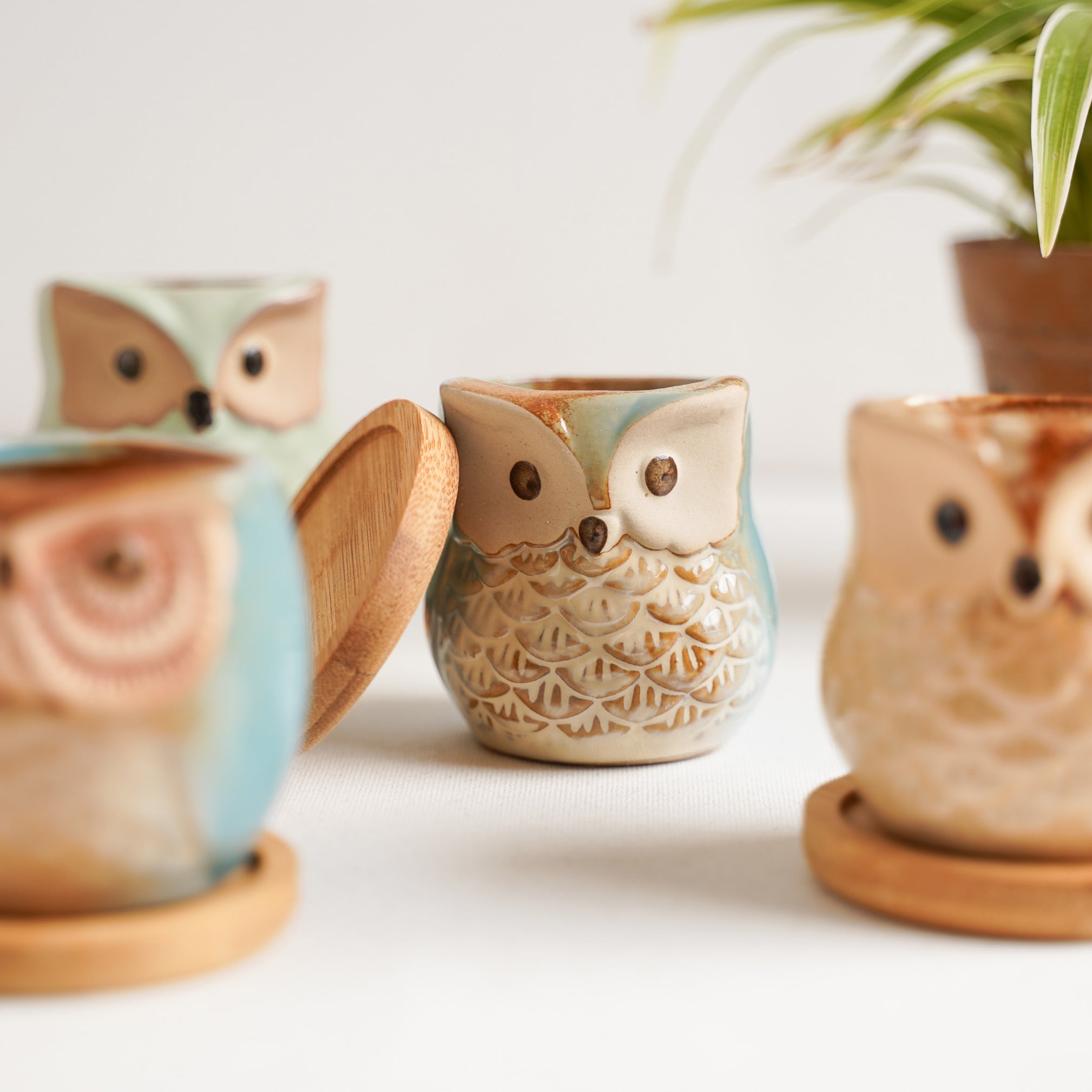 Owl Planters Set of 6