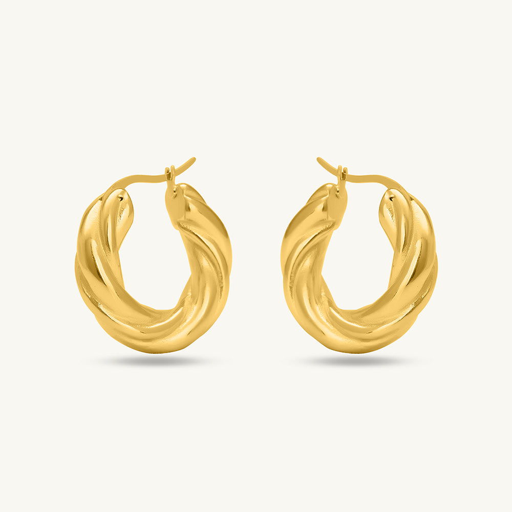 Twisted Round Hoop Earrings & Snake Charm Bracelet Combo Set