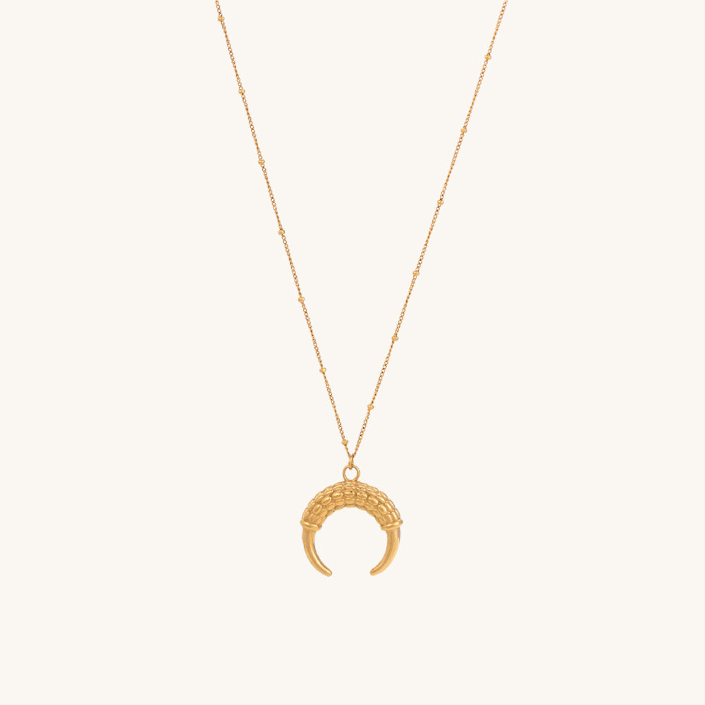 Horn Meural Necklace